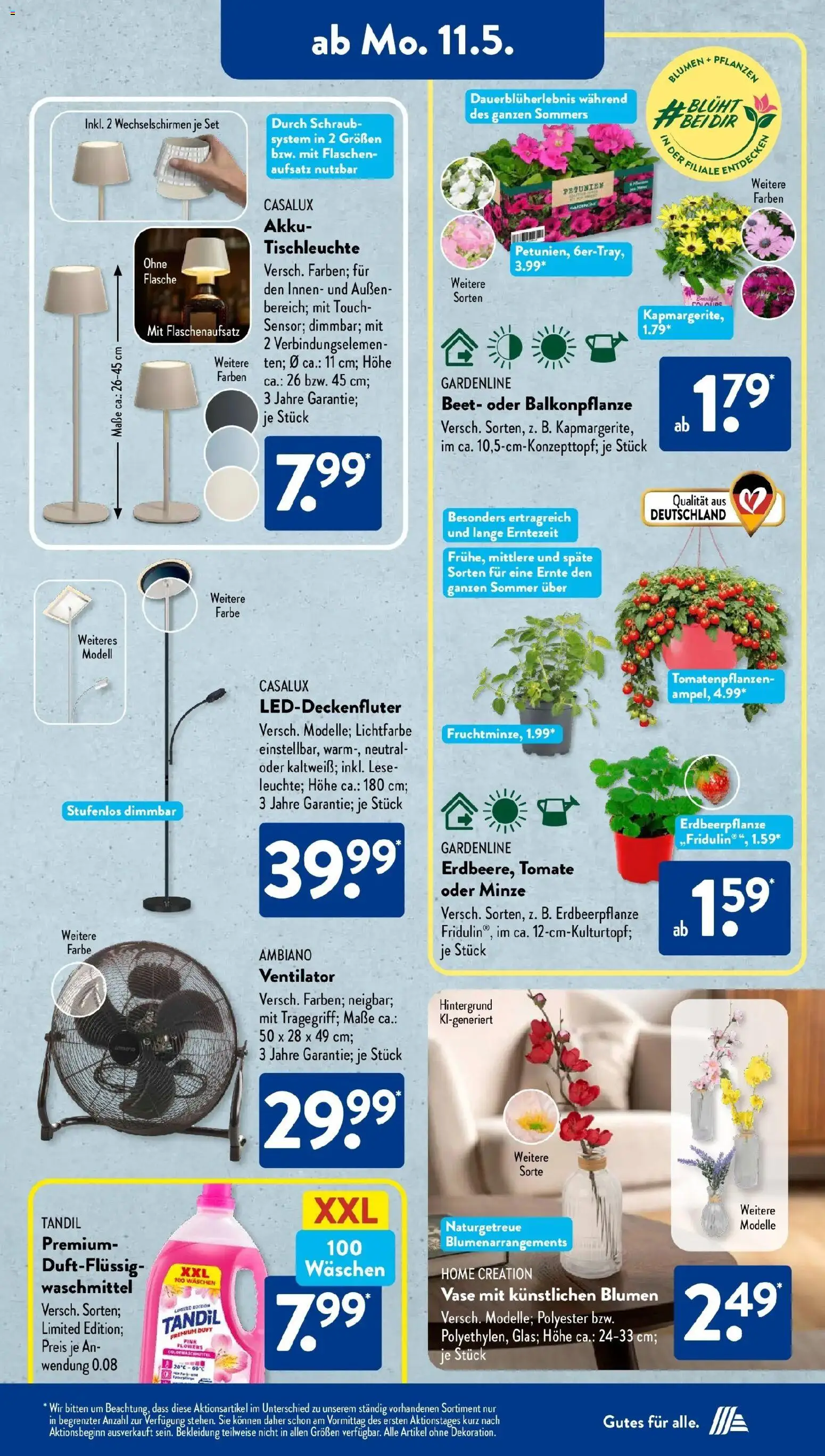 Aldi Süd Wochenangebote – gültig ab 10.05.2026 | Seite: 14 | Produkte: Ventilator, Blumen, Vase, Duft