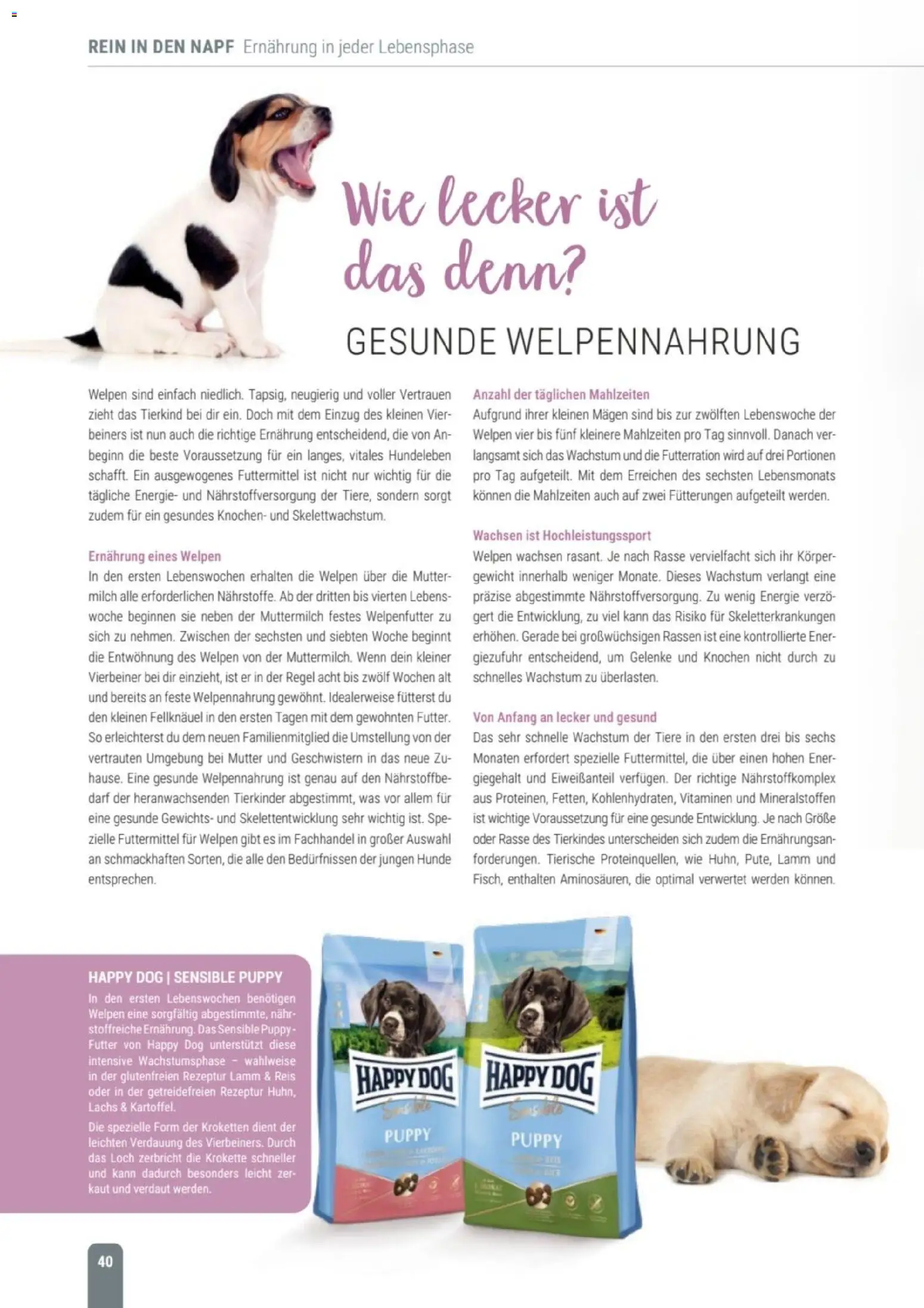 zookauf Themenkatalog Hund – gültig ab 18.05.2026 | Seite: 40 | Produkte: Gewicht, Milch, Lachs, Reis