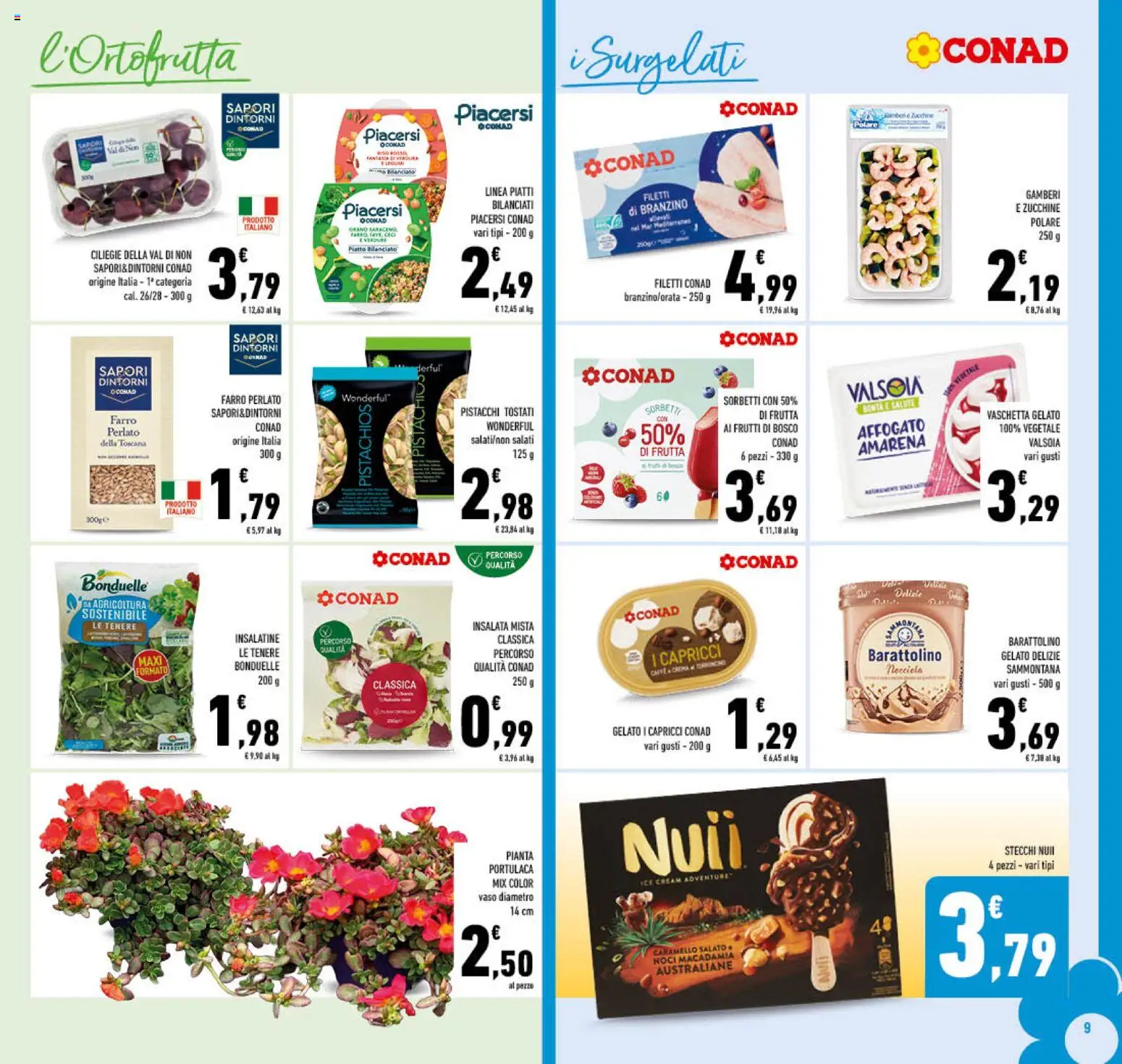 Volantino Conad del 15/07/2026 | Pagina: 9 | Prodotti: Gamberi, Sorbetto, Amarena, Vaso