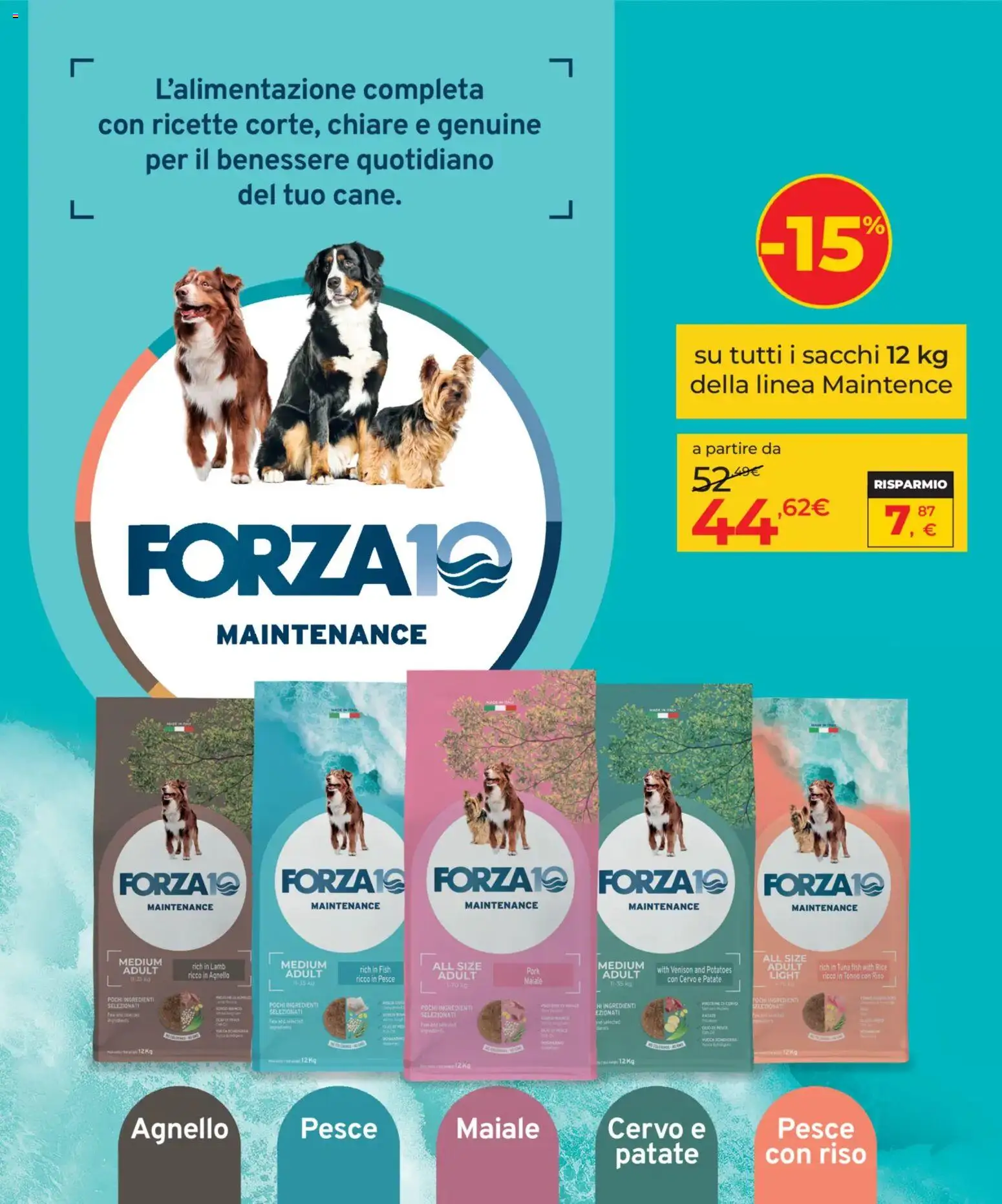 Volantino Arcaplanet del 17/09/2026 | Pagina: 13 | Prodotti: Maiale, Riso, Tonno, Agnello