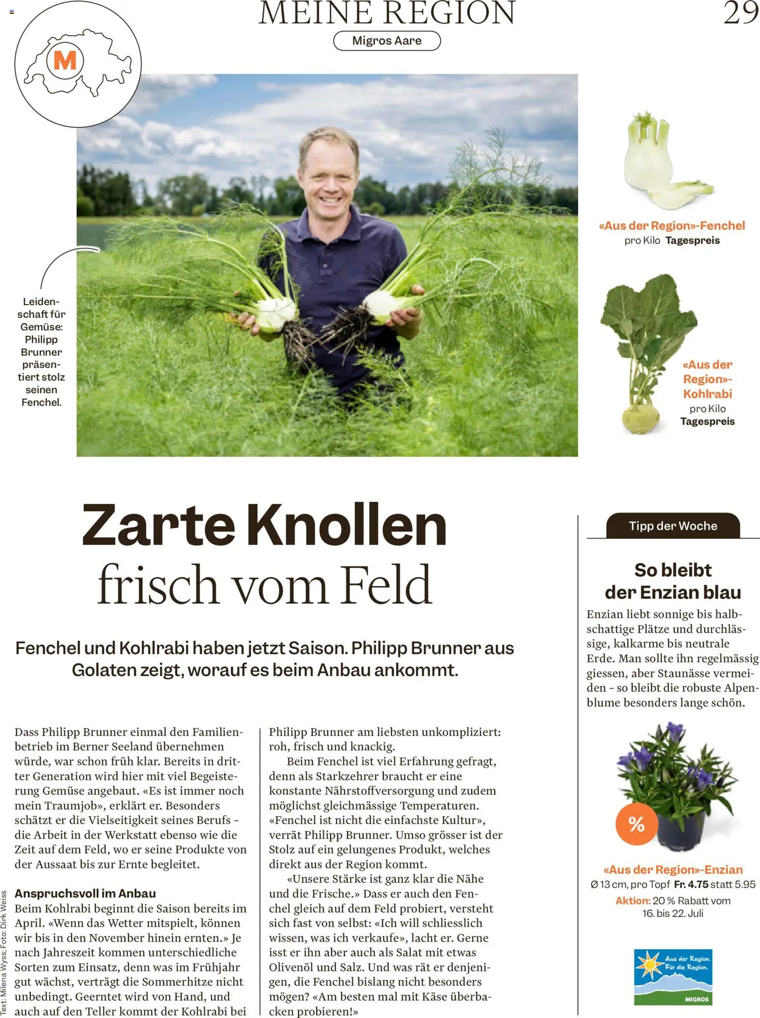 Migros aktionen Magazin – gültig ab 15.07.2026 | Seite: 29 | Produkte: Käse, Gemüse, Salat