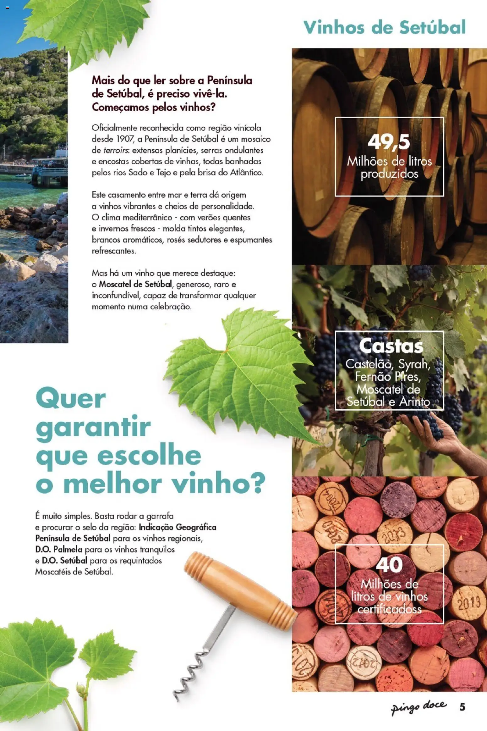 Pingo Doce Vinhos de Setúbal │ válido de 05.05.2026 | Página: 5 | Produtos: Vinho