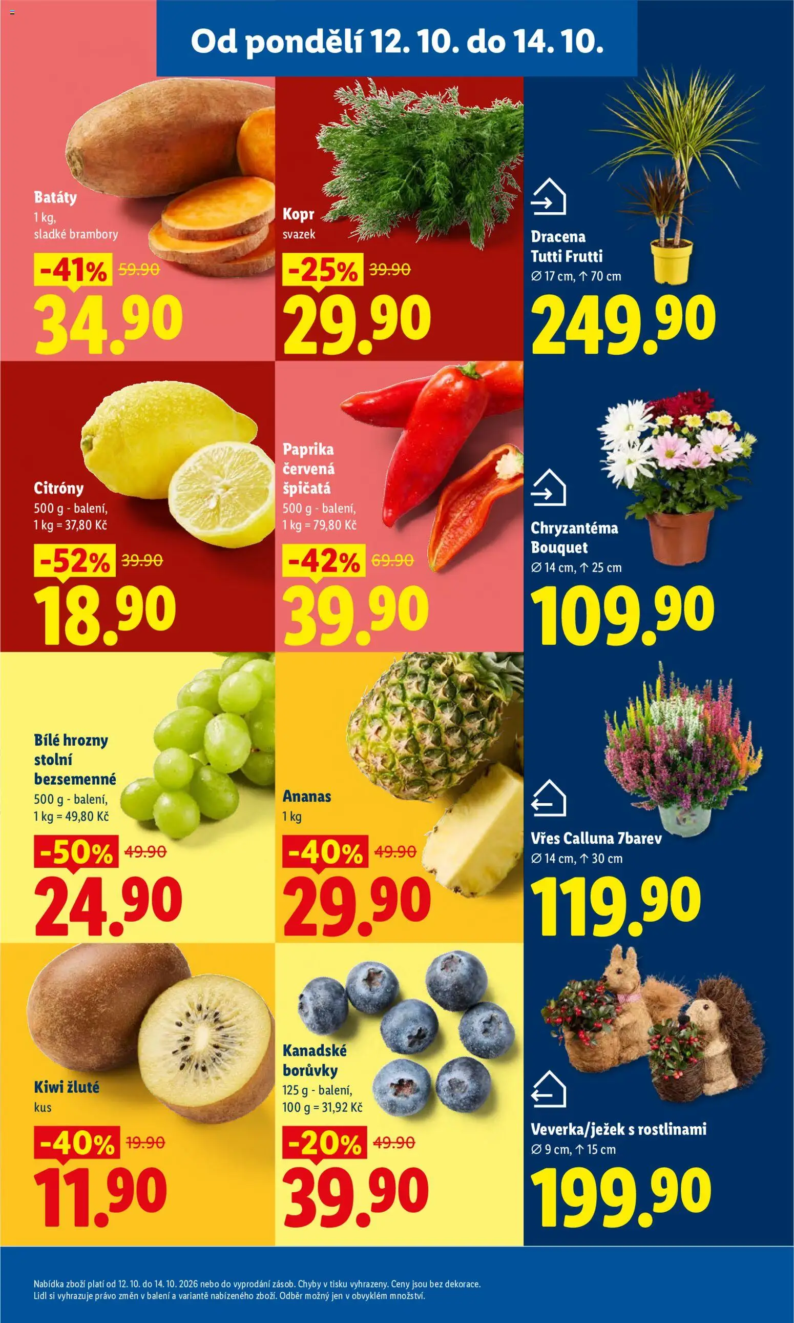 Lidl leták od 12.10.2026 | Strana: 13