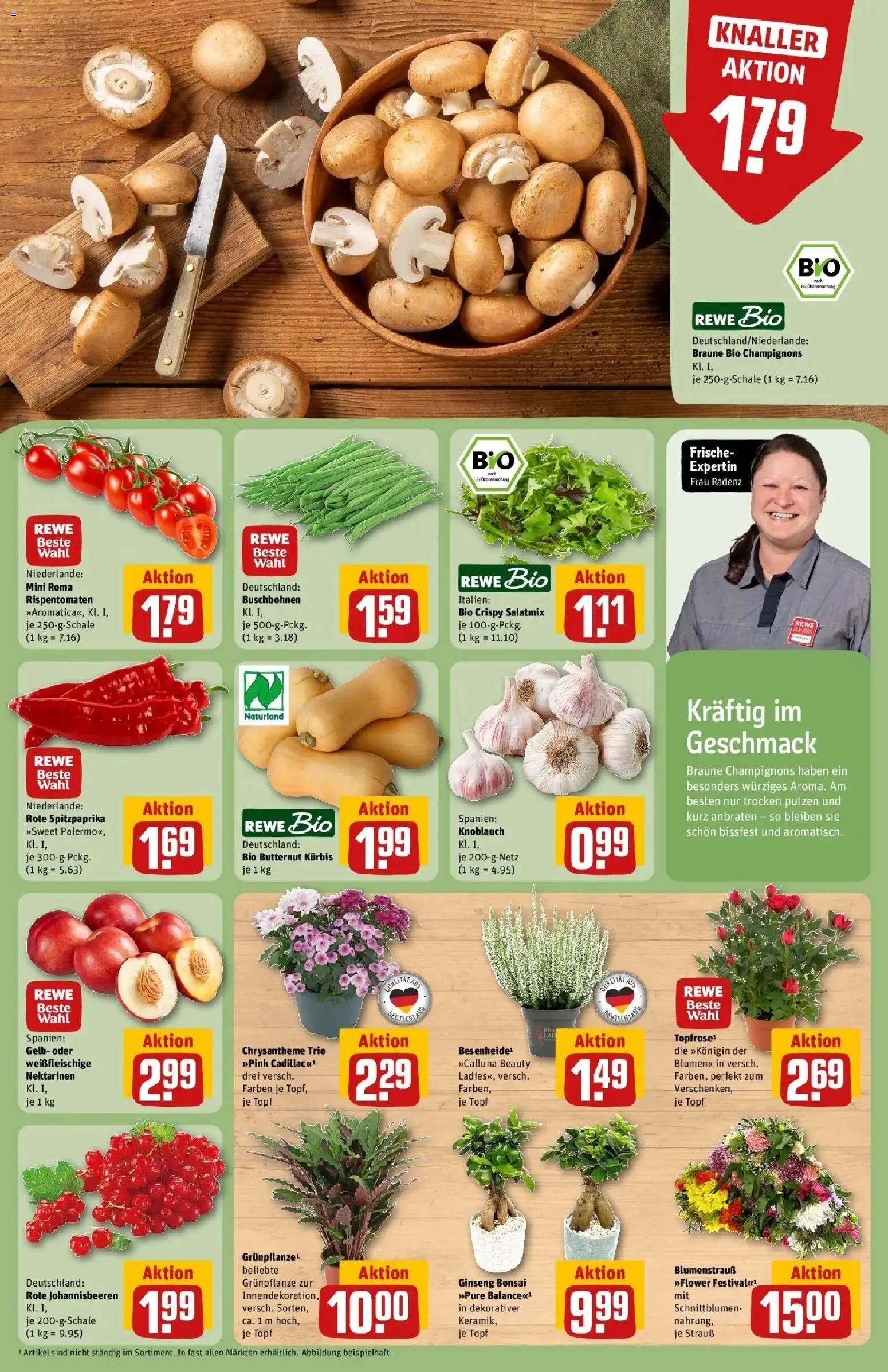 REWE Prospekt ab 31.08.2026 zum Blättern » Angebote | Seite: 7 | Produkte: Top, Nektarinen, Knoblauch, Kürbis