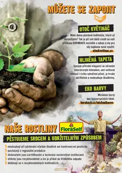 Náhled letáku HORNBACH leták - Projektové výhody od 05.08.2026 | Strana: 15 | Produkty: Rostliny, Květináč, Barvy