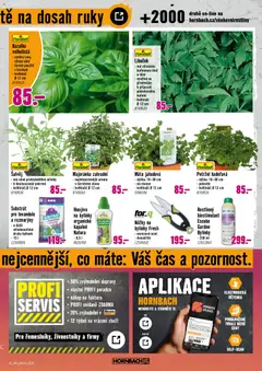 Náhled letáku HORNBACH leták - Trvalky od 06.05.2026 | Strana: 5 | Produkty: Nůžky, Koření, Petržel, Hnojivo