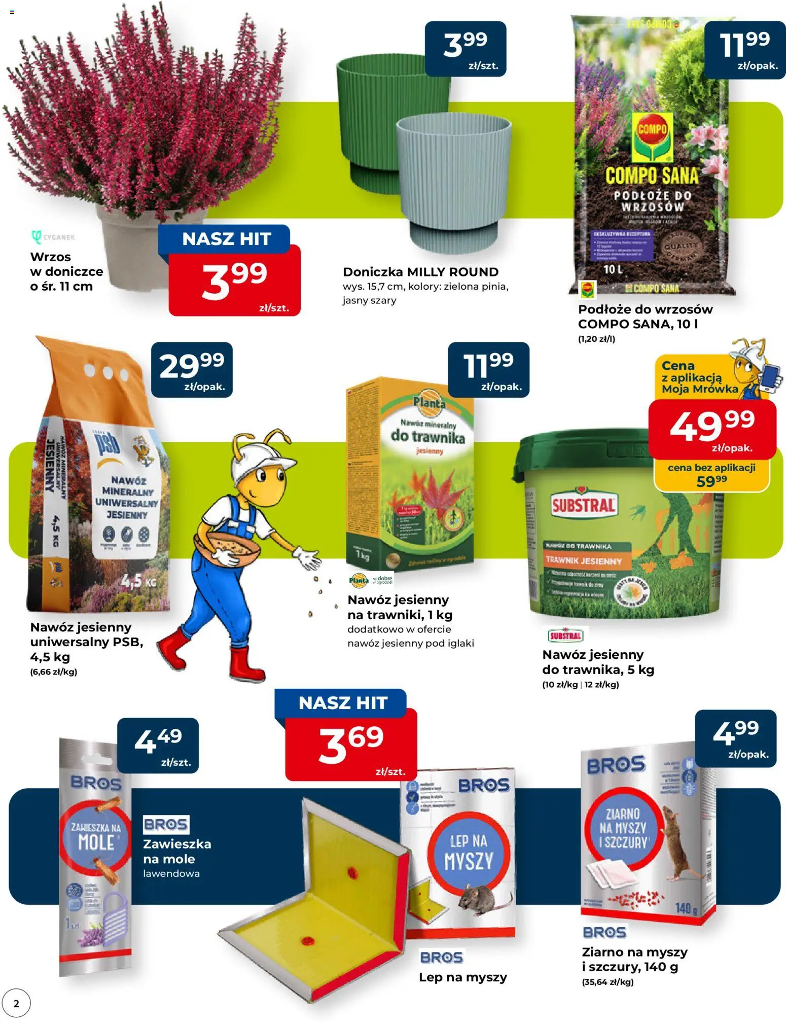 Mrówka gazetka - Malbork od 10.09.2026 | Strona: 2 | Produkty: Podłoże, Wrzos, Doniczka, Nawóz