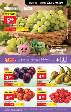 Pogląd oferty "Szncyle z fileta piersi indyka Kraina Mięs, Szncyle z fileta piersi indyka Kraina Mięs" - ważna od 24.09.2026 | Strona: 41