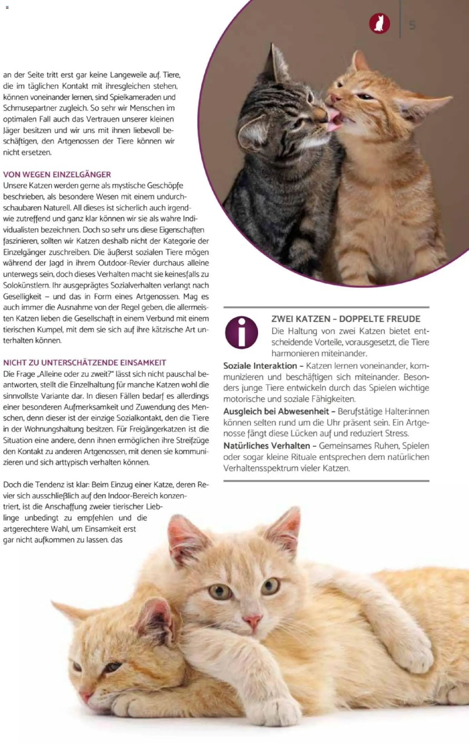 zookauf Heimtier Journal – gültig ab 01.07.2026 | Seite: 5 | Produkte: Uhr