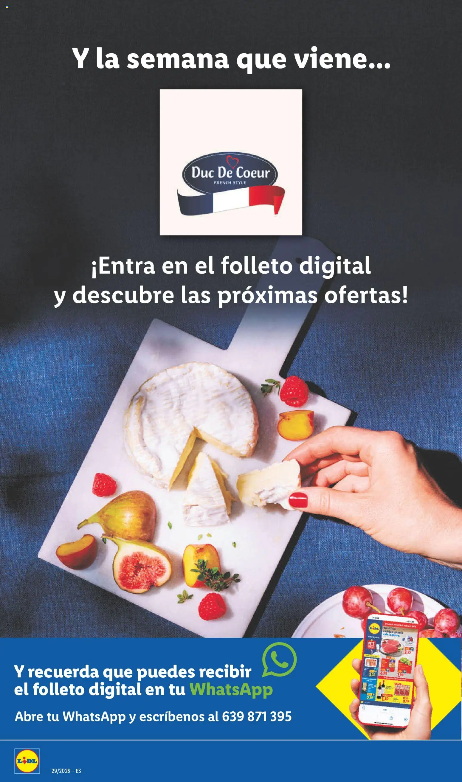 Lidl folleto de bazar │ válido desde el 13/07/2026 | Página: 28