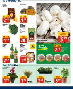 Anteprima del volantino Tigros volantino valido a partire dal 01/10/2026 | Pagina: 13