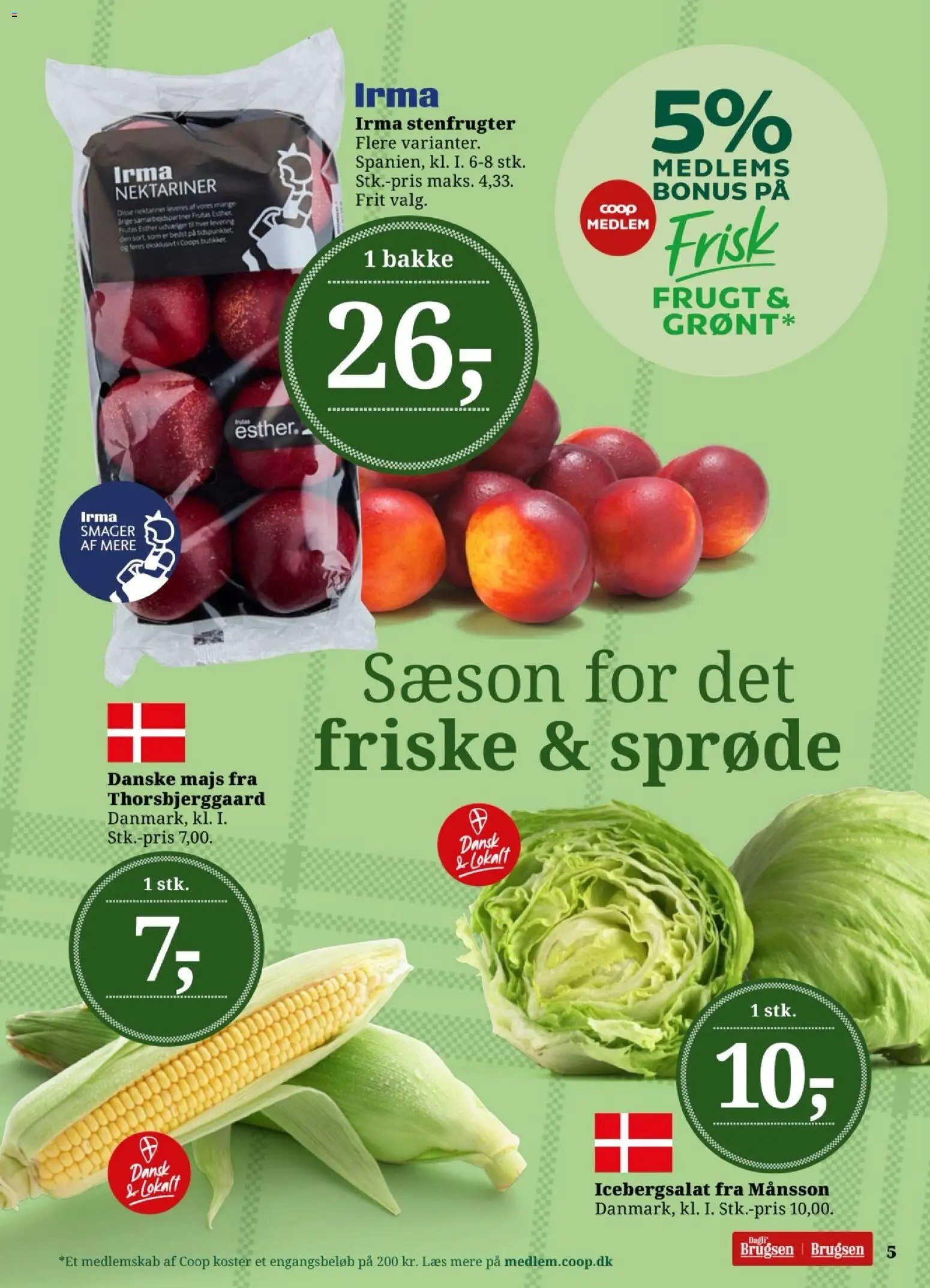 Dagli'Brugsen tilbudsavis – gyldig fra 31/07/2026 | Side: 5 | Produkter: Majs, Nektariner, Icebergsalat