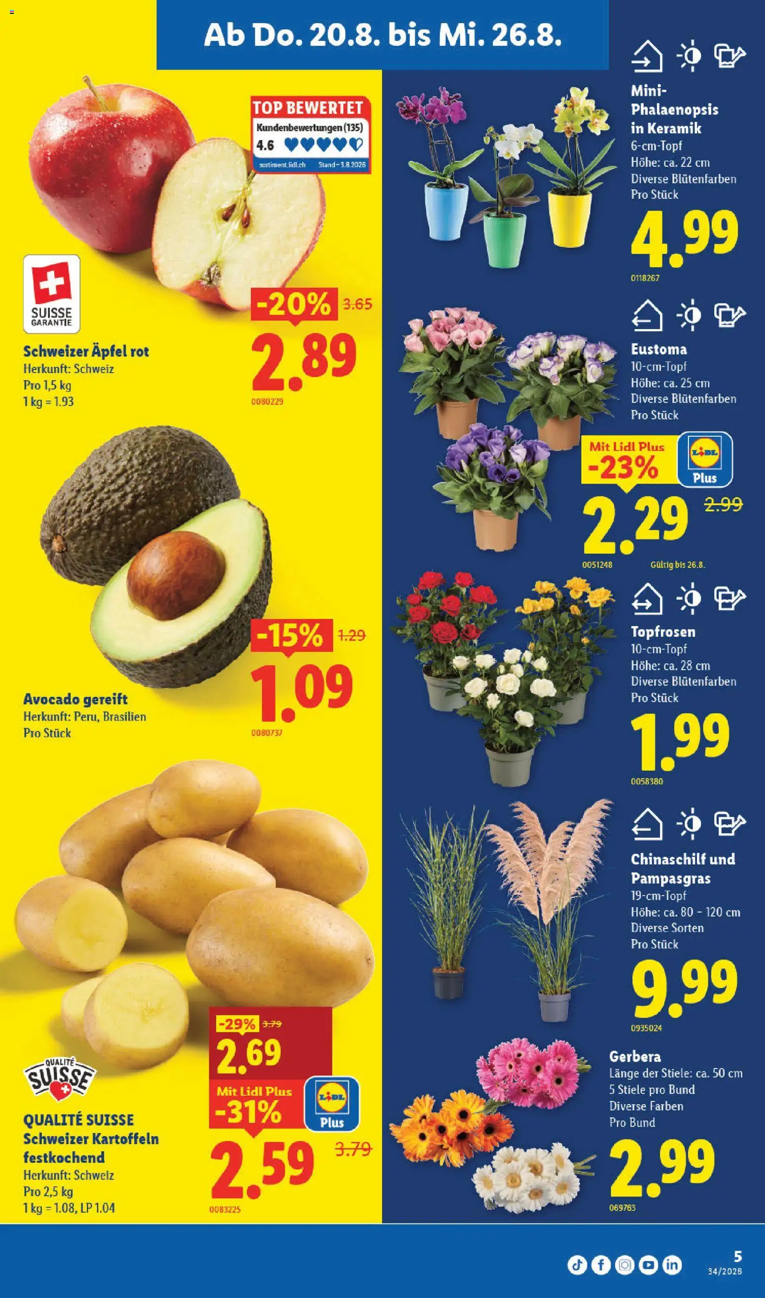 Lidl aktionen – gültig ab 20.08.2026 | Seite: 9