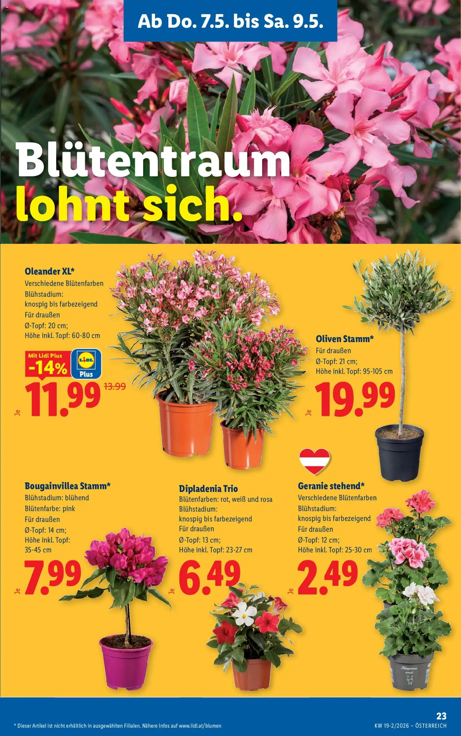 Lidl Flugblatt - Eisenstadt, Ebenfurth, Mattersburg gültig ab 07.05.2026 | Seite: 25 | Produkte: Szeder
