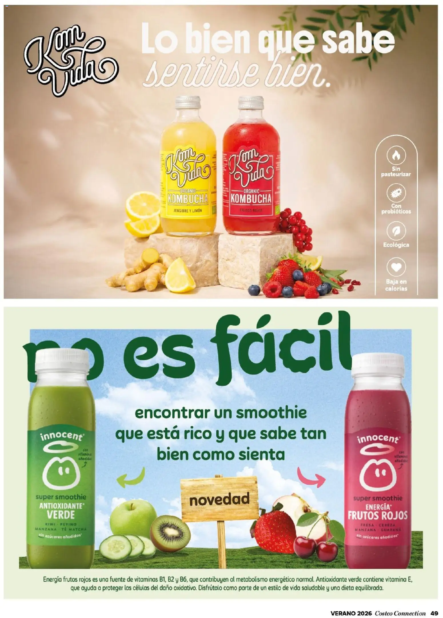 Costco catálogo │ válido desde el 15.06.2026 | Página: 49 | Productos: Manzana, Té