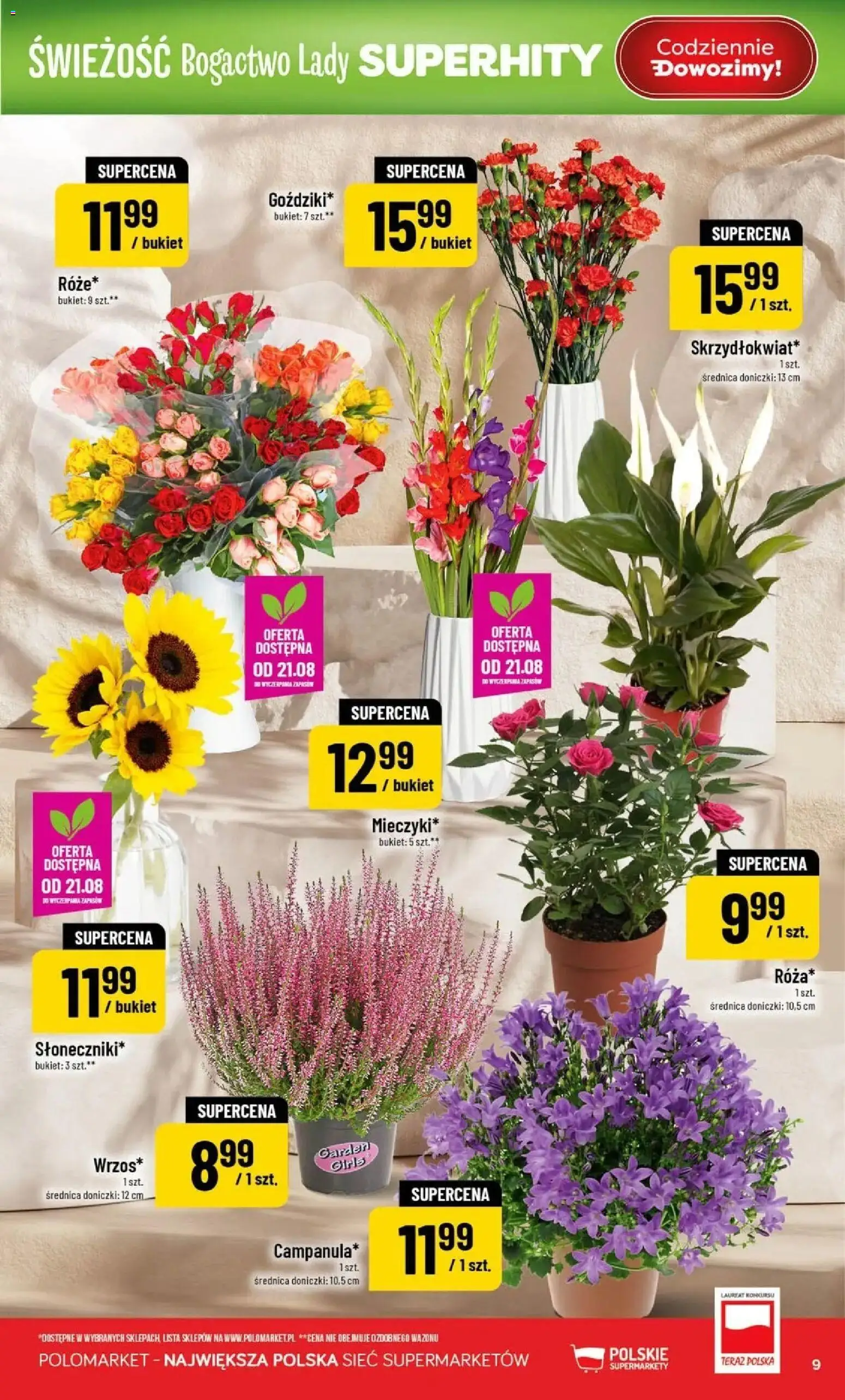 Nowa POLOmarket gazetka od jutra 19.08.2026 | Strona: 9 | Produkty: Doniczki