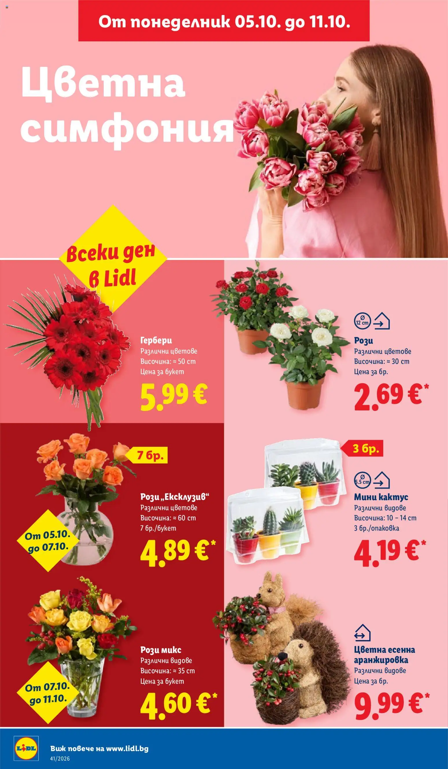 {H1} | Страница: 54 | Продукти: Гербери