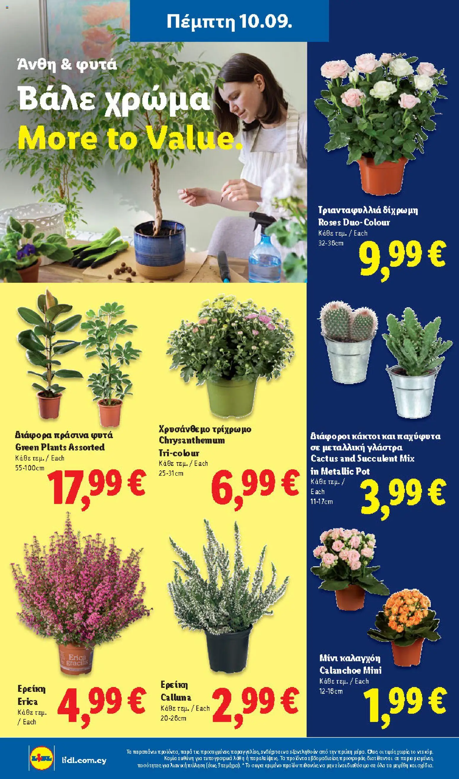 Lidl φυλλαδιο – σε ισχύ από 10/09/2026 | Σελίδα: 40