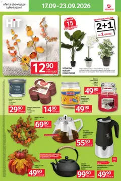 Pogląd oferty "Selgros cash&carry gazetka - Jeszcze więcej super promocji" - ważna od 17.09.2026 | Strona: 11 | Produkty: Dzbanek, Czajnik, Rosliny, Kawiarka
