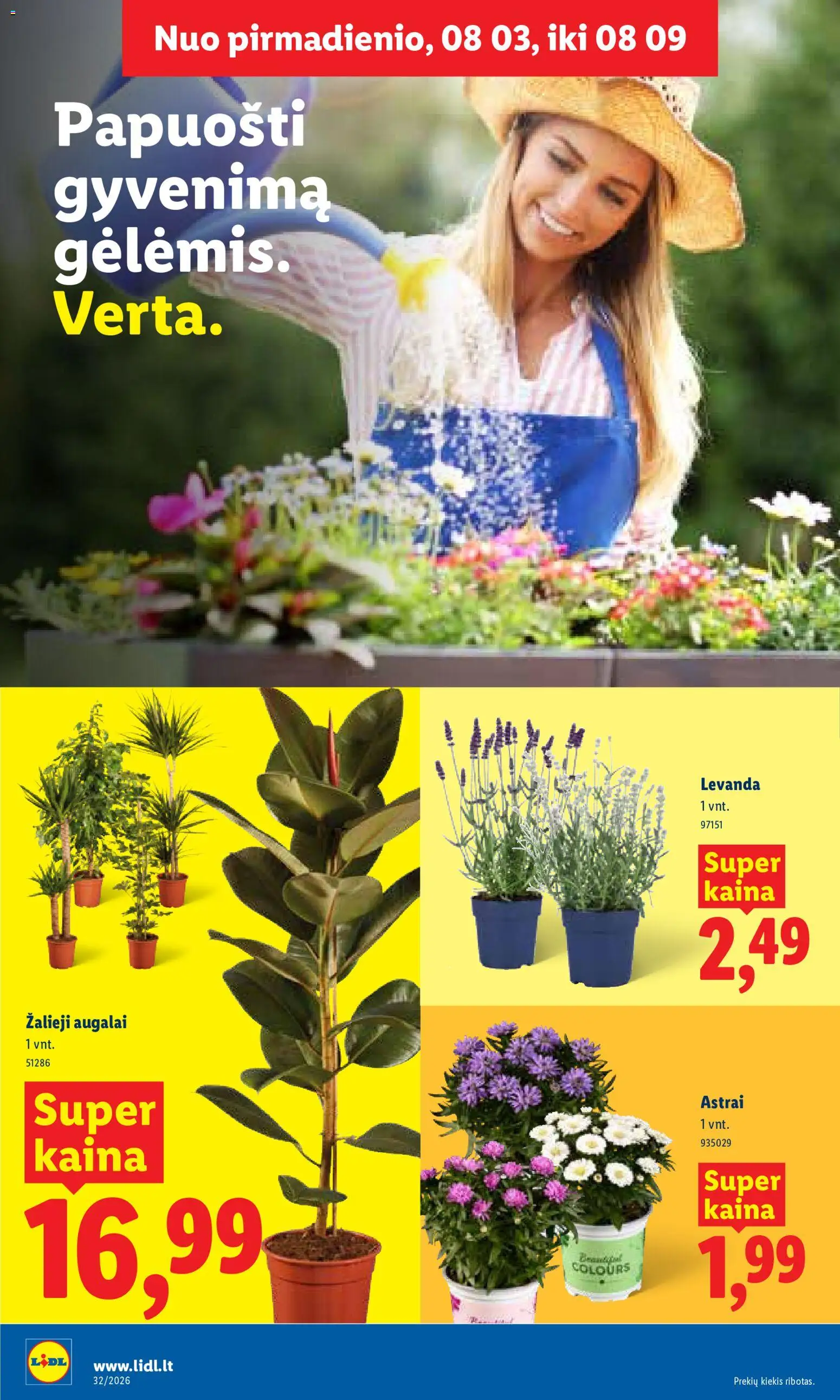 LIDL akcijos nuo 2026.08.03 | Puslapis: 6