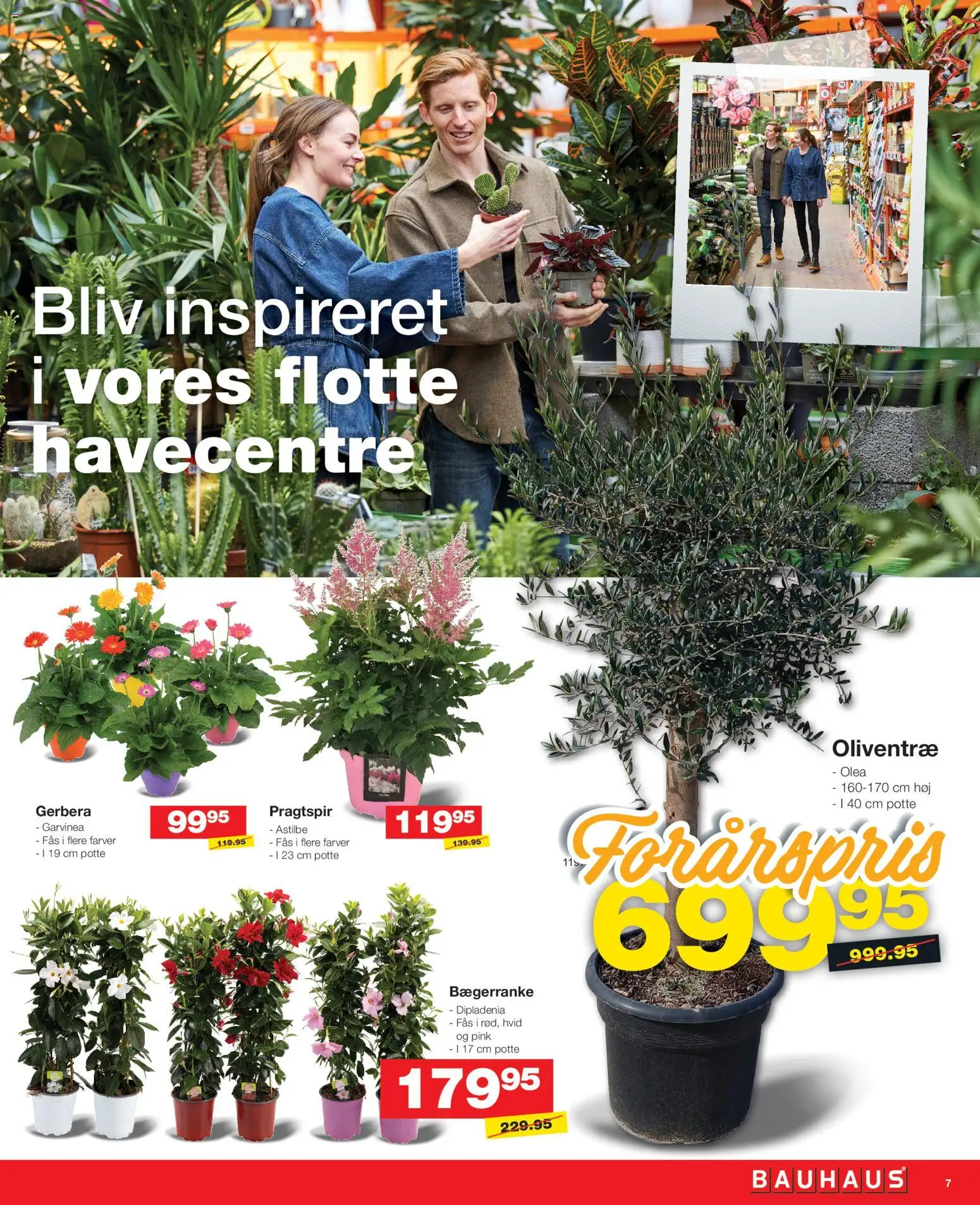 Bauhaus tilbudsavis – gyldig fra 14.05.2026 | Side: 7