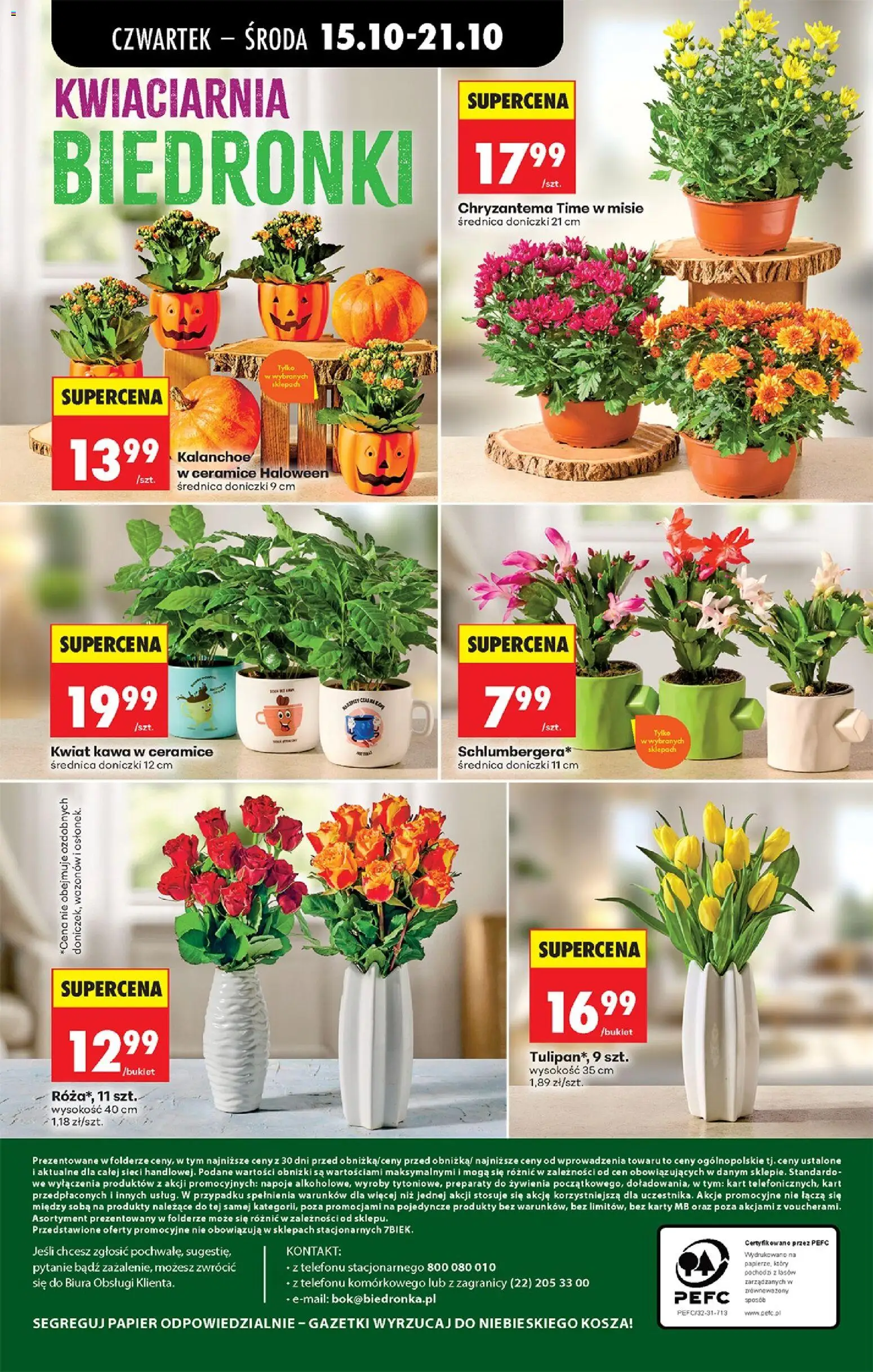 Biedronka gazetka - Czas na toast od 15.10.2026 | Strona: 90 | Produkty: Napoje, Kwiat kawa w ceramice, Doniczki, Kalanchoe