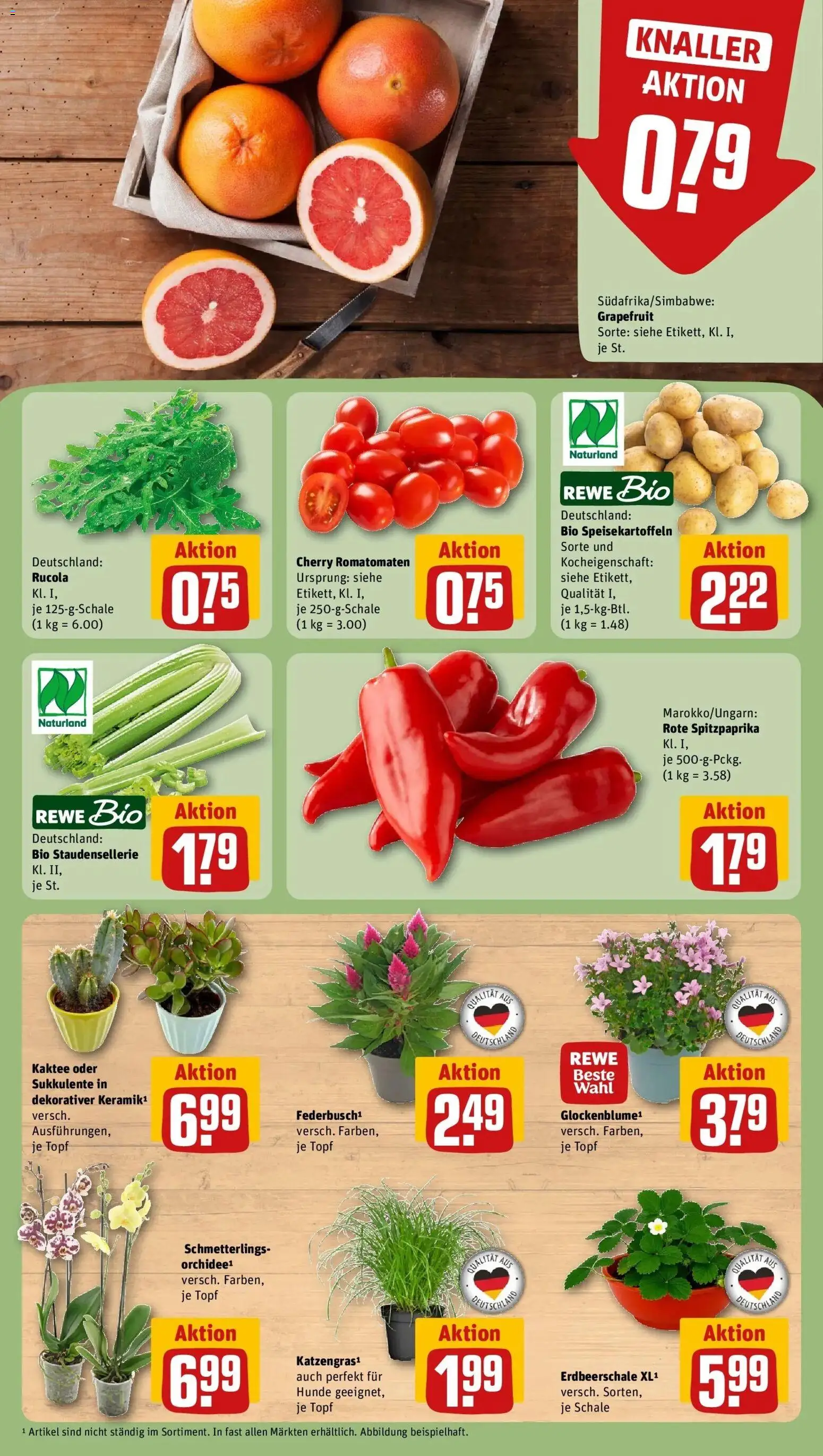 Rewe Prospekt Freiburg – gültig ab 27.07.2026 | Seite: 7 | Produkte: Orchidee, Rucola, Grapefruit