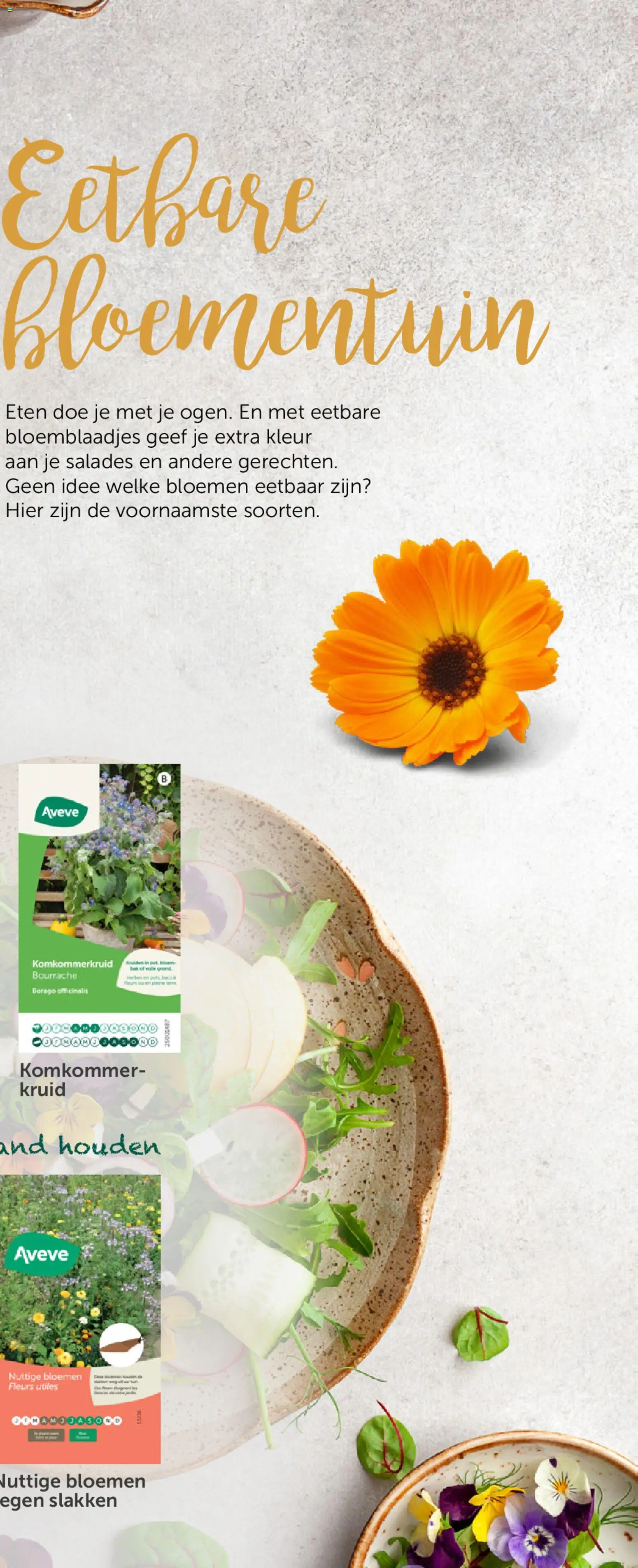 {H1} | Pagina: 75 | Producten: Bloemen, Salades, Komkommer