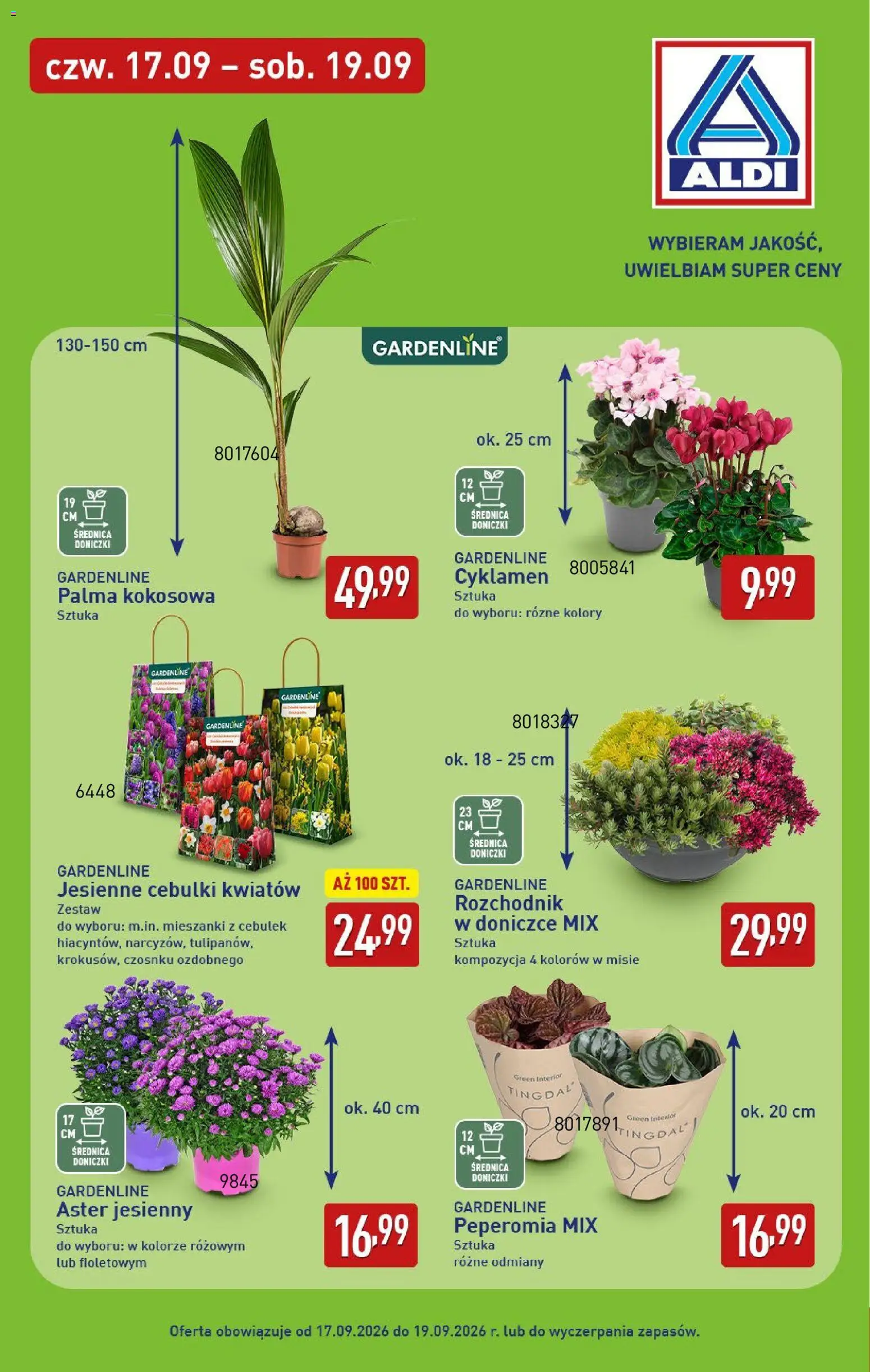 Aldi gazetka od 14.09.2026 | Strona: 33