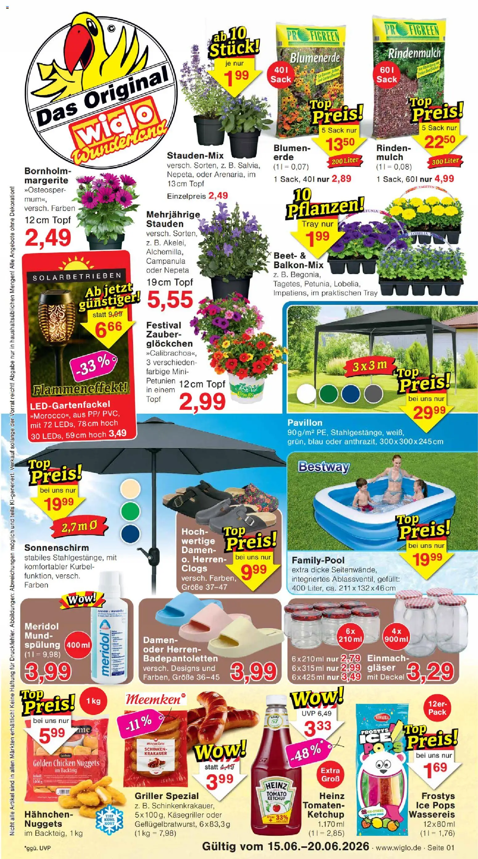 Wiglo Wunderland Prospekt – gültig ab 15.06.2026 | Seite: 1 | Produkte: Rindenmulch, Blumen, Spülung, Ketchup