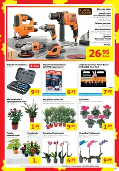 Vista previa Alcampo HG Unico válido desde el 24/09/2026 | Página: 31 | Productos: Orquídea, Cable, Bolsa, Maceta