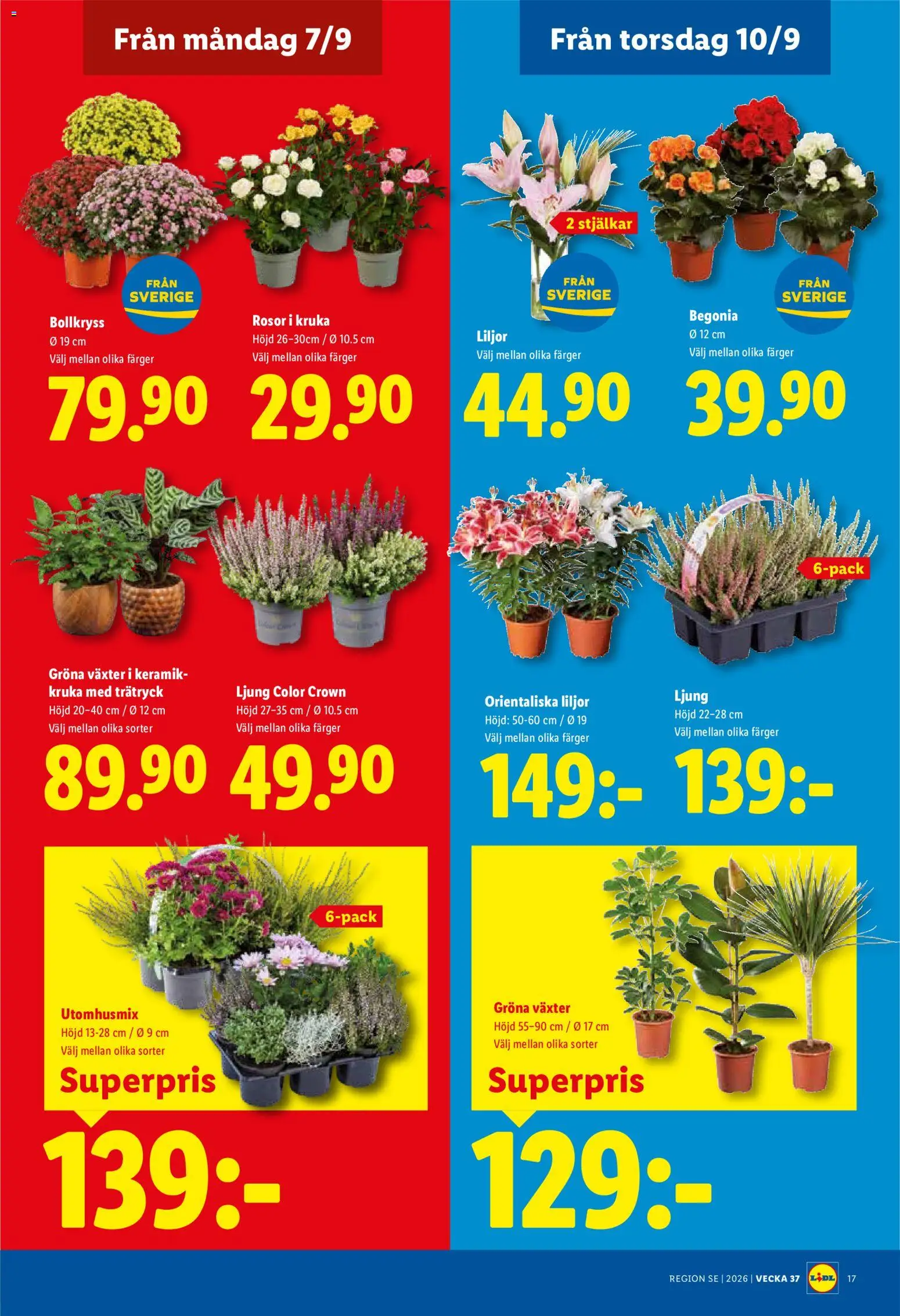 Lidl reklamblad aktuell från 07/09/2026 | Sida: 22