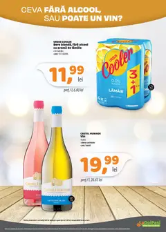 Ofertele LaDoiPași valabile de la 16.09.2026 | Pagină: 8 | Produse: Castel huniade, Cooler, Ursus cooler, Bere
