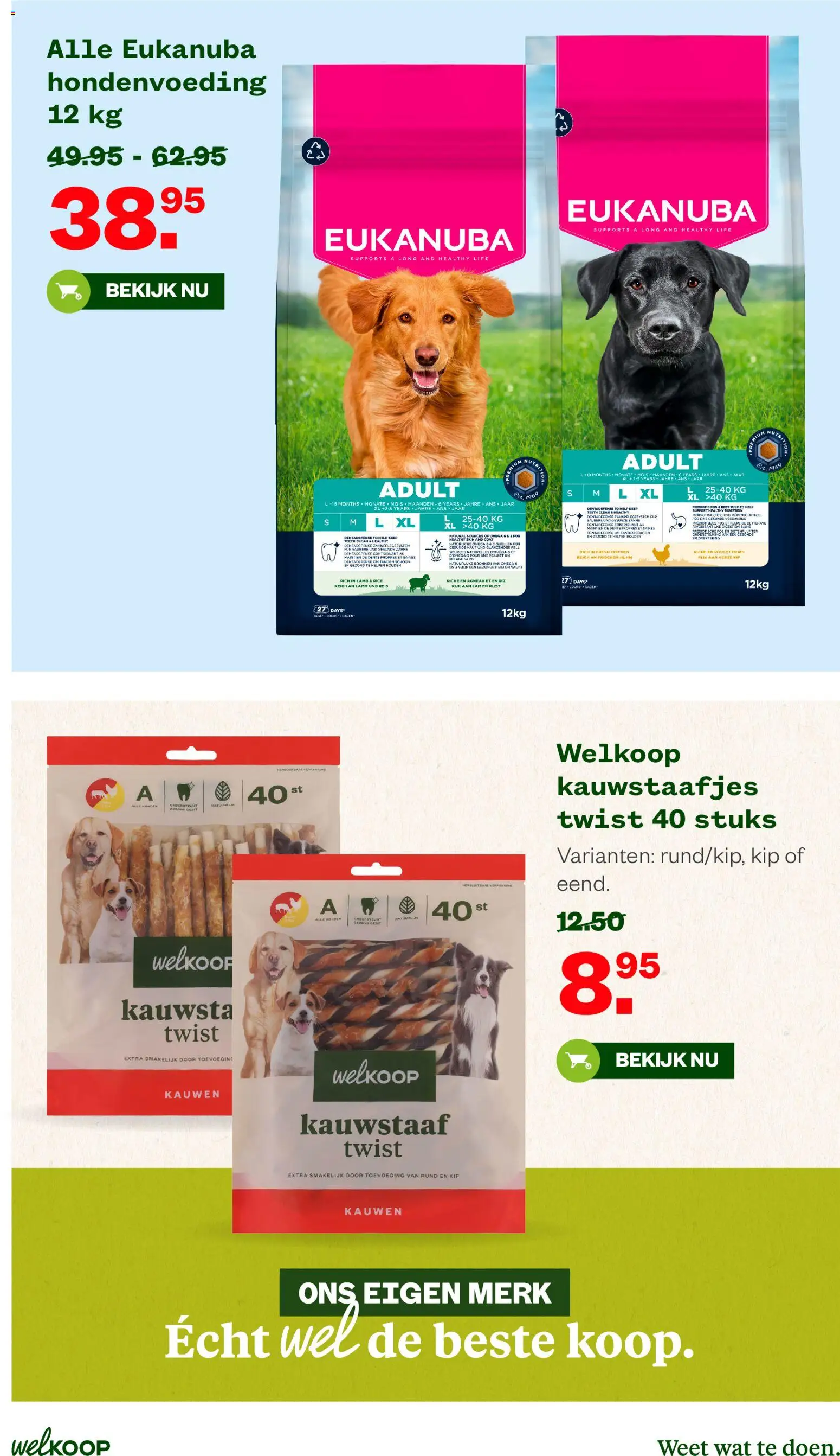 {H1} | Pagina: 32 | Producten: Dekens, Hondenspeelgoed, Deken, Kussens