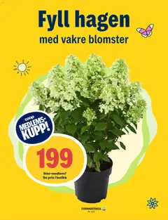 Forhåndsvisning av Coop Prix kundeavis gyldig fra 03/08/2026 | Side: 13 | Produkter: Cremă pentru față