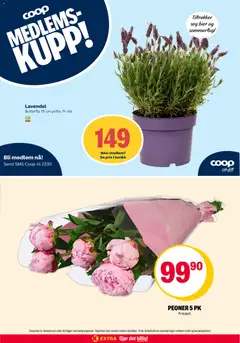 Forhåndsvisning av Coop Extra kundeavis gyldig fra 08.06.2026 | Side: 36
