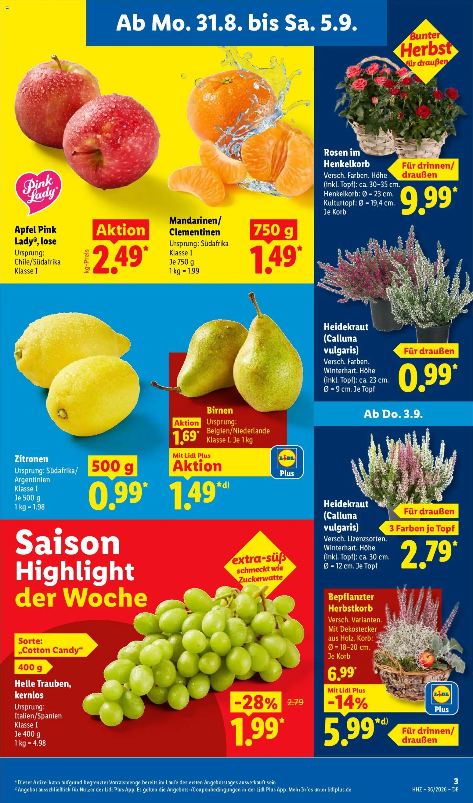 Lidl Prospekt – gültig ab 31.08.2026 | Seite: 3