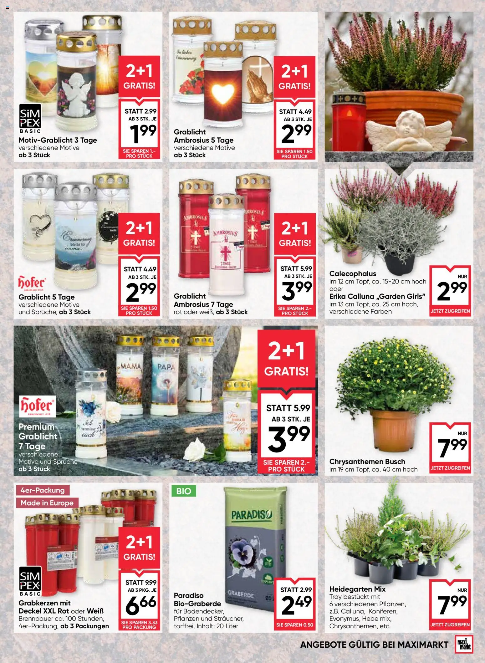 Maximarkt Flugblatt gültig ab 10.09.2026 | Seite: 17 | Produkte: Grabkerzen