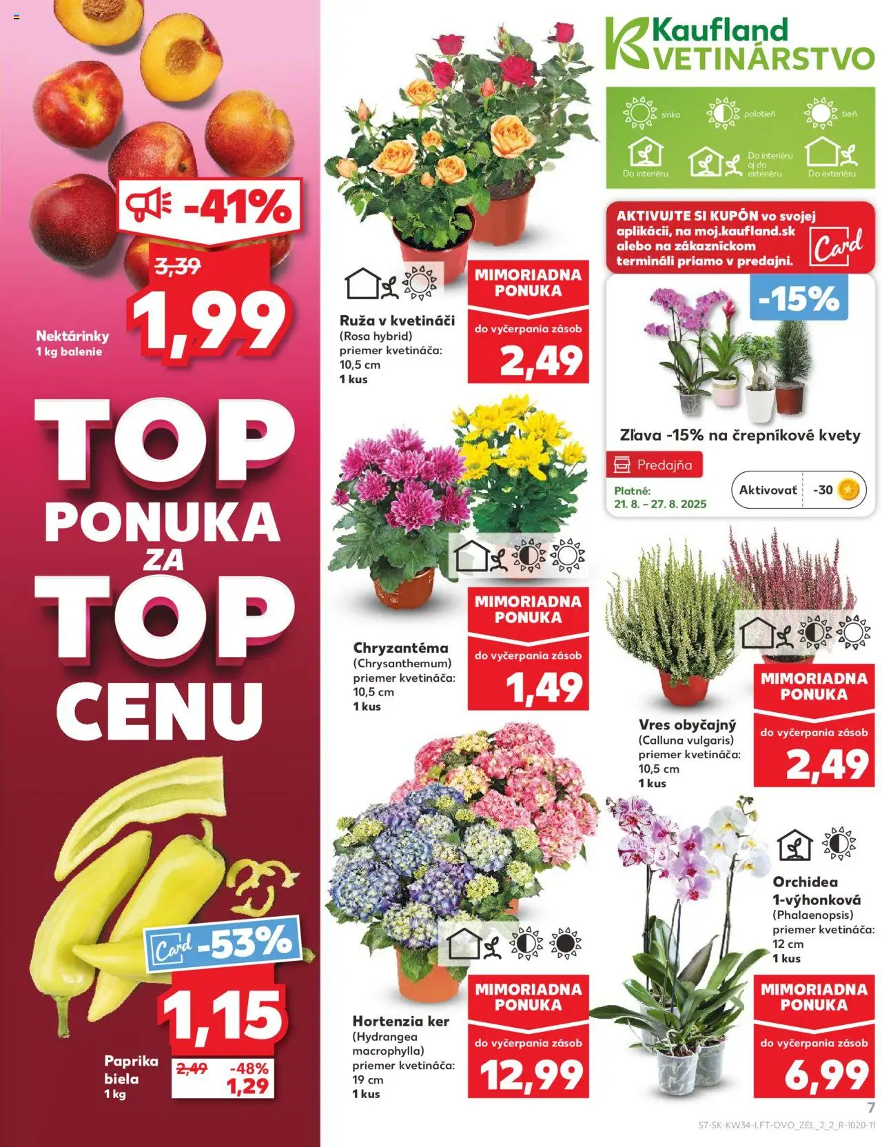 Nové Kaufland akcie – leták je platný od 21.08.2025 | Strana: 7 | Produkty: Paprika, Kvety, Orchidea