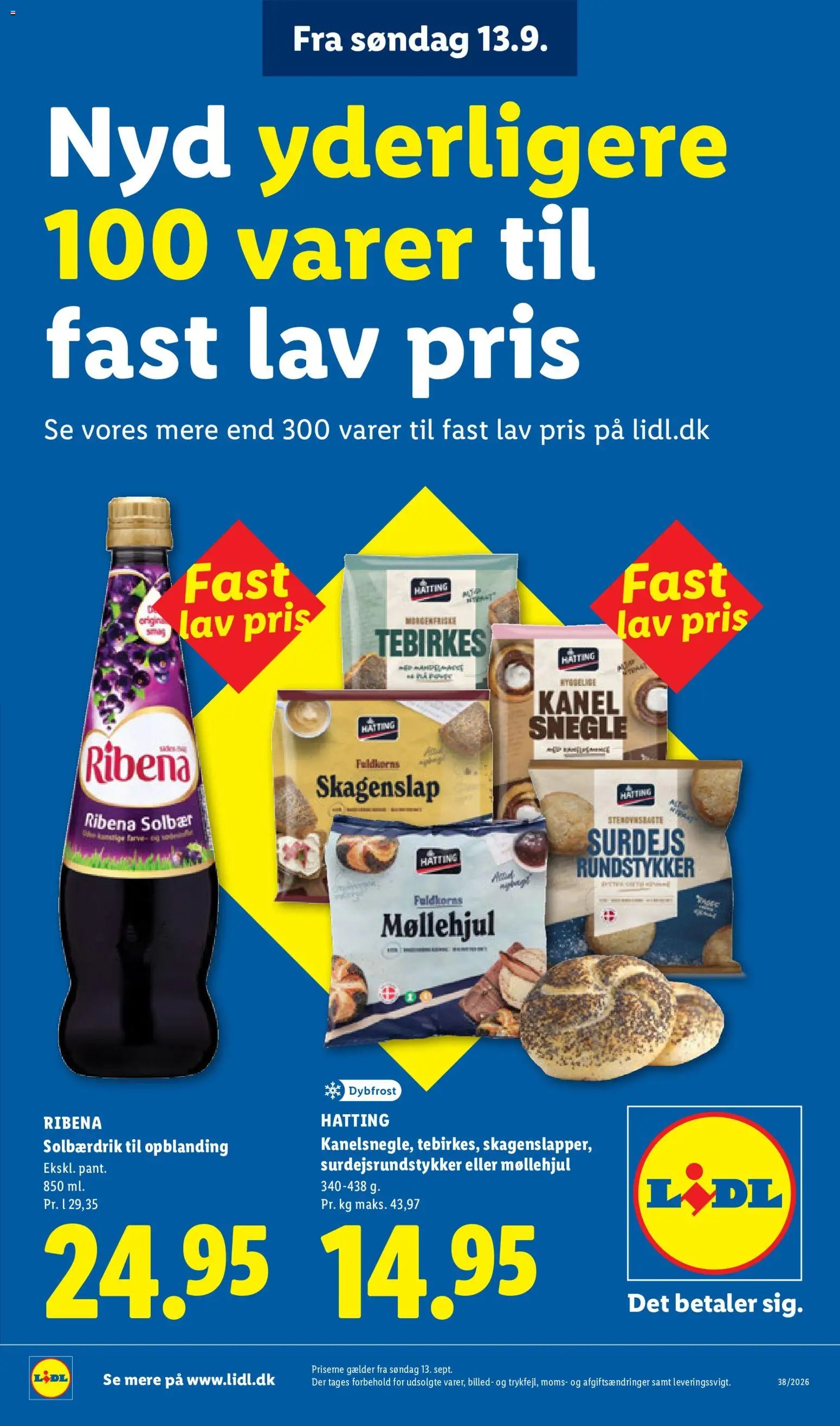 Lidl tilbudsavis – gyldig fra 13/09/2026 | Side: 15 | Produkter: Kanel, Tebirkes, Solbær