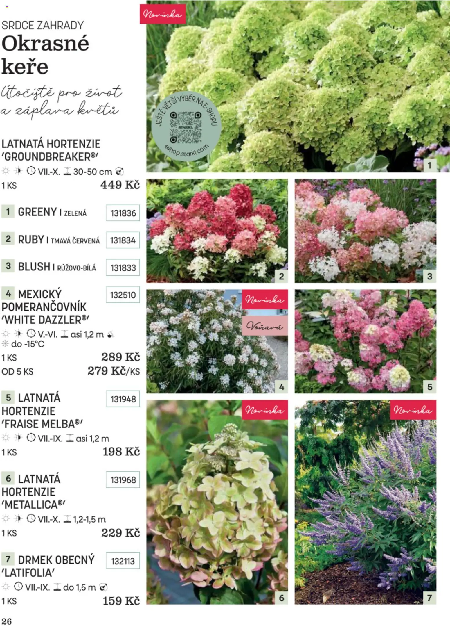 Starkl katalog Podzim 2026 od 01.09.2026 | Strana: 26