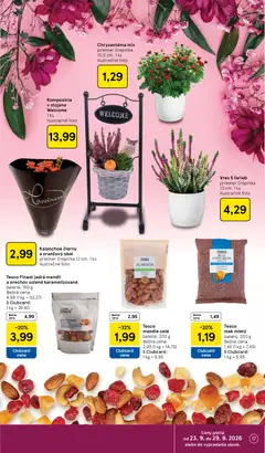 Tesco leták platný od 23.09.2026 | Strana: 17