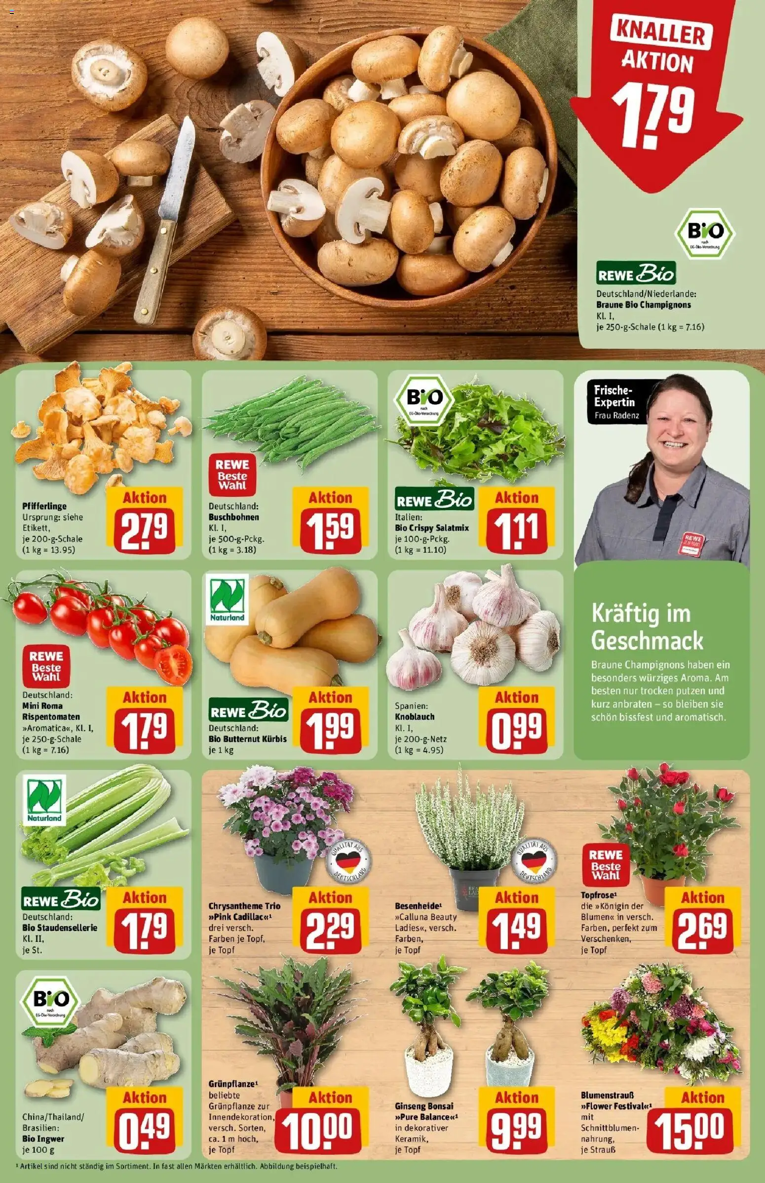 REWE Prospekt ab 31.08.2026 zum Blättern » Angebote | Seite: 7 | Produkte: Top, Blumen, Knoblauch, Pfifferlinge