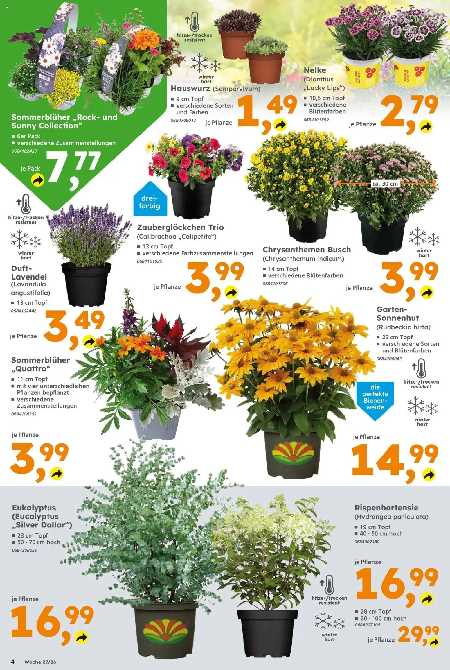 Globus Baumarkt - Globus Baumarkt: Wochenangebote – gültig ab 28.06.2026 | Seite: 4 | Produkte: Duft, Lavendel