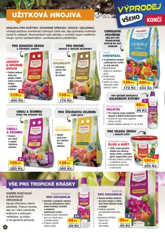 Náhled letáku Mountfield leták od 01.03.2026 | Strana: 6 | Produkty: Ovoce, Jahody, Brambory, Česnek