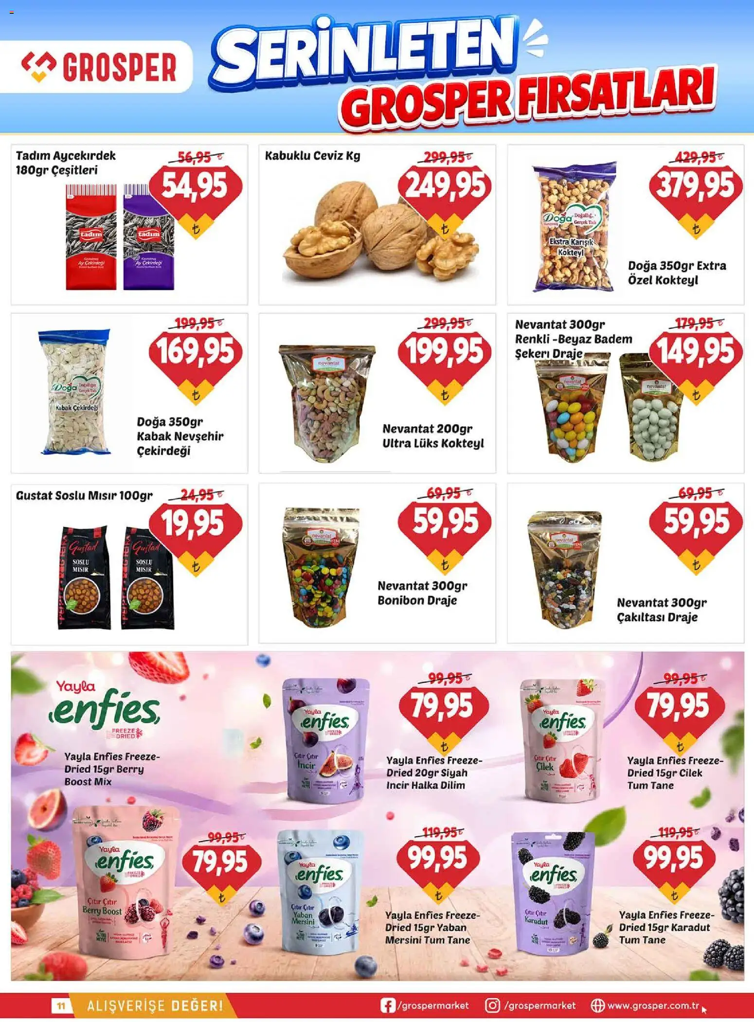 Grosper Katalog - 01 Temmuz 2026 tarihinden itibaren geçerlidir | Sayfa: 11 | Ürünler: Kabak, Badem, Ceviz, Mısır