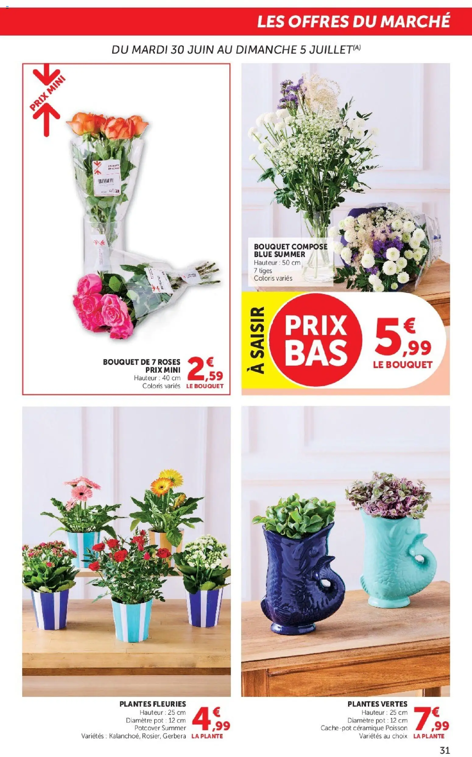 {H1} | Page: 31 | Produits: Plantes, Poisson