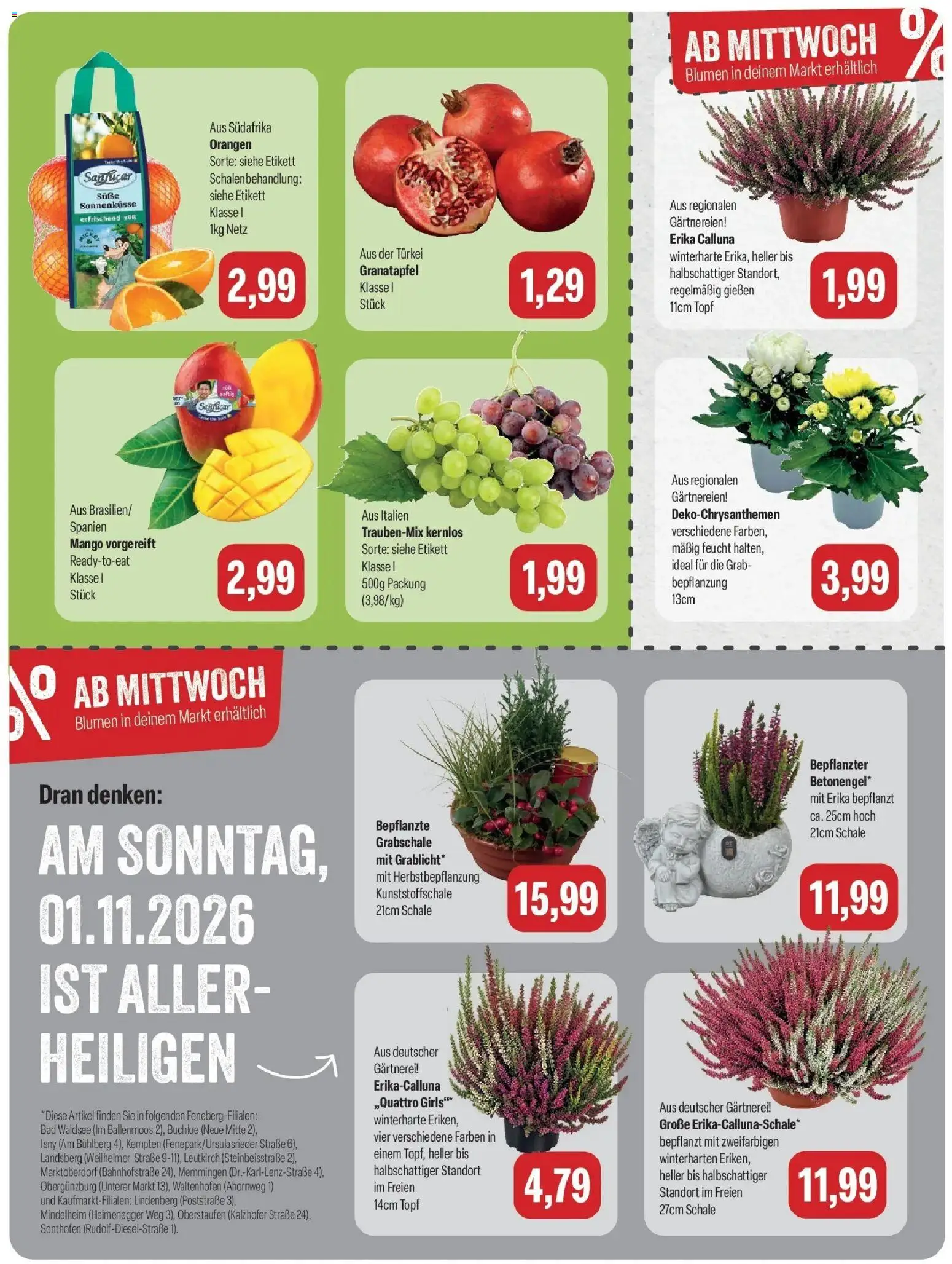 Feneberg Aktuelle Angebote (ab 19.10.2026) zum Blättern | Seite: 9 | Produkte: Granatapfel, Blumen, Orangen, Mango
