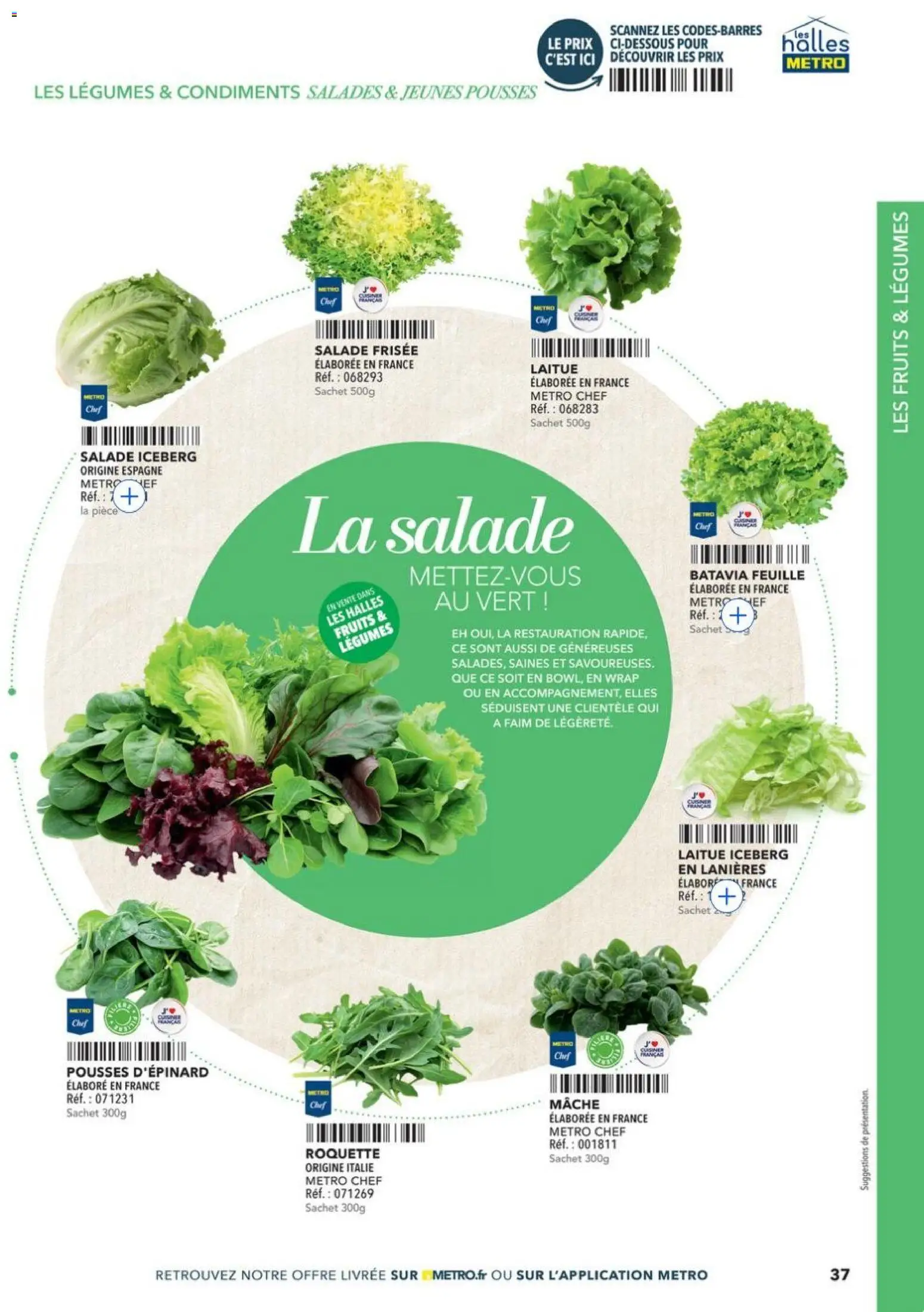 {H1} | Page: 37 | Produits: Salade, Laitue, Mâche, Roquette