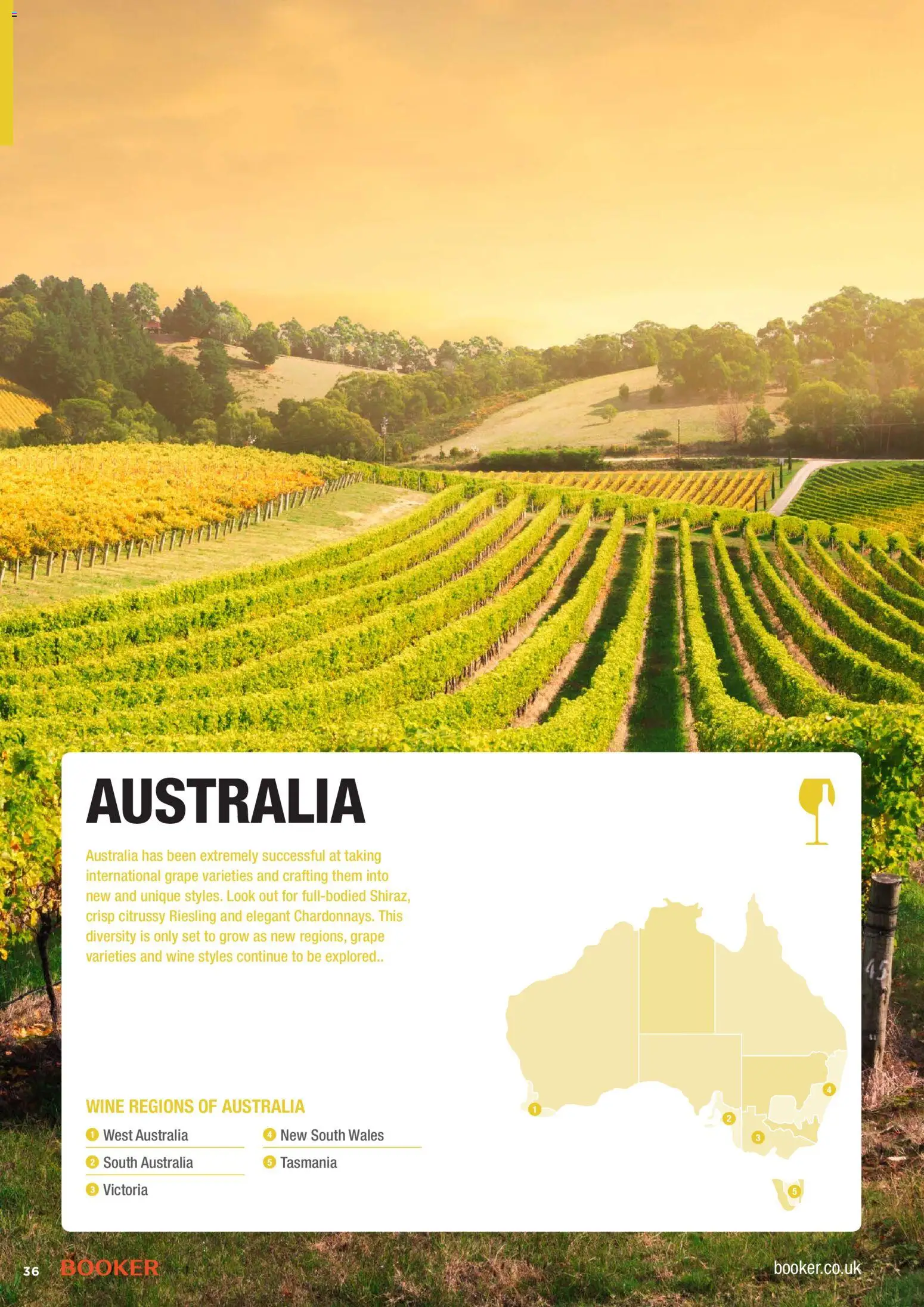 {H1} | Page: 36 | Products: Grape, Wine